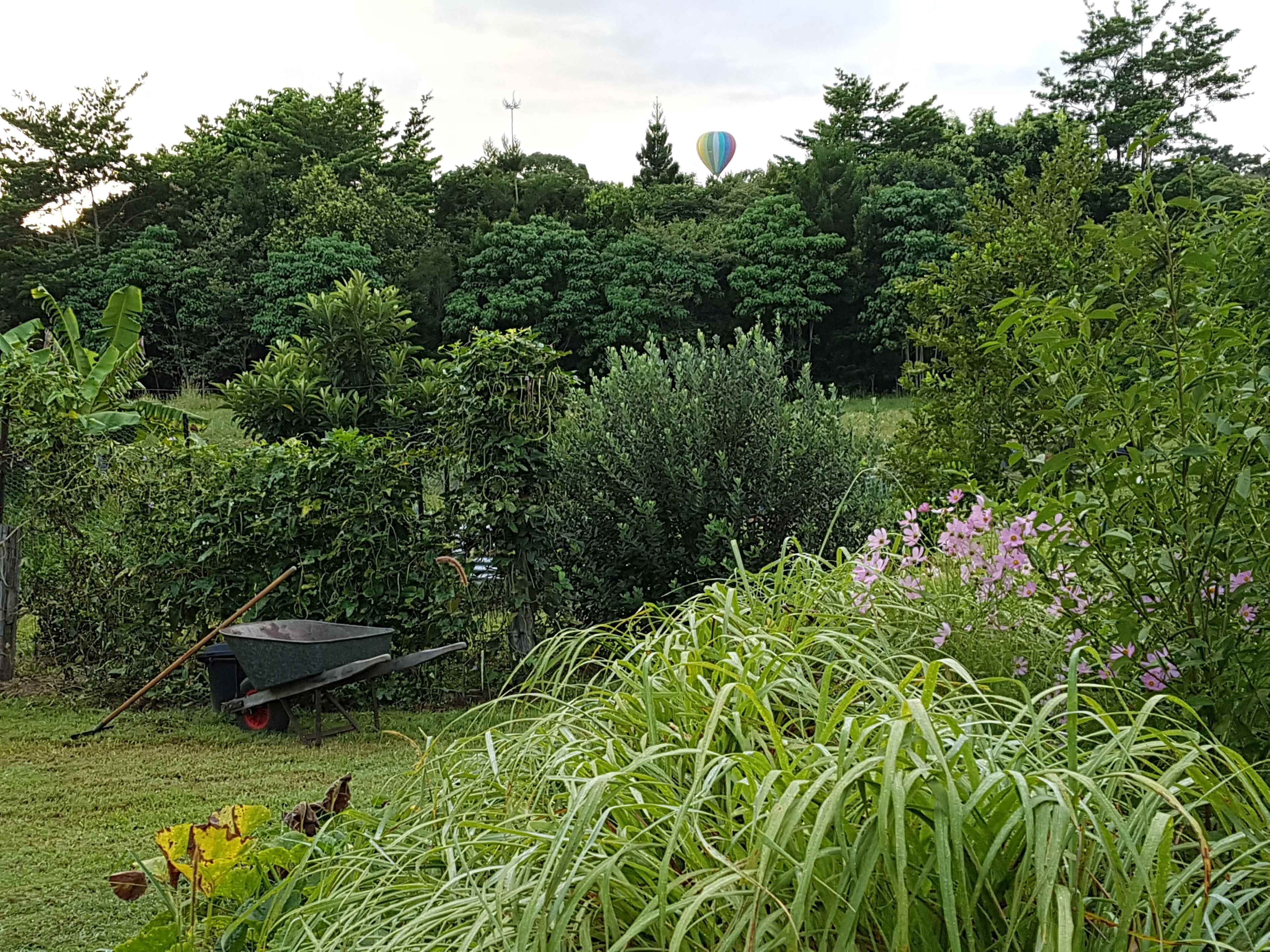 Our circle garden