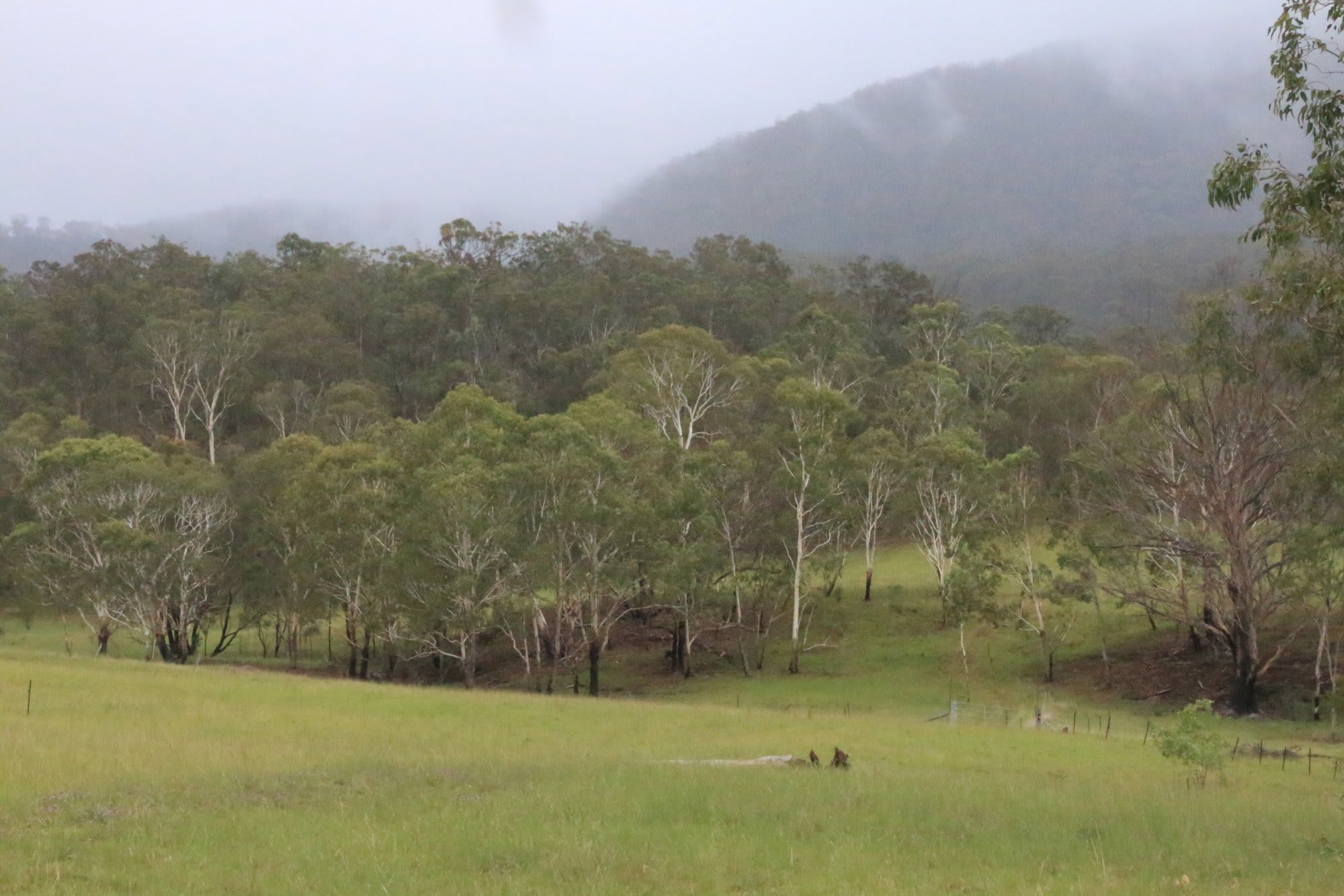 Nyalar Mirunganah Nature Refuge