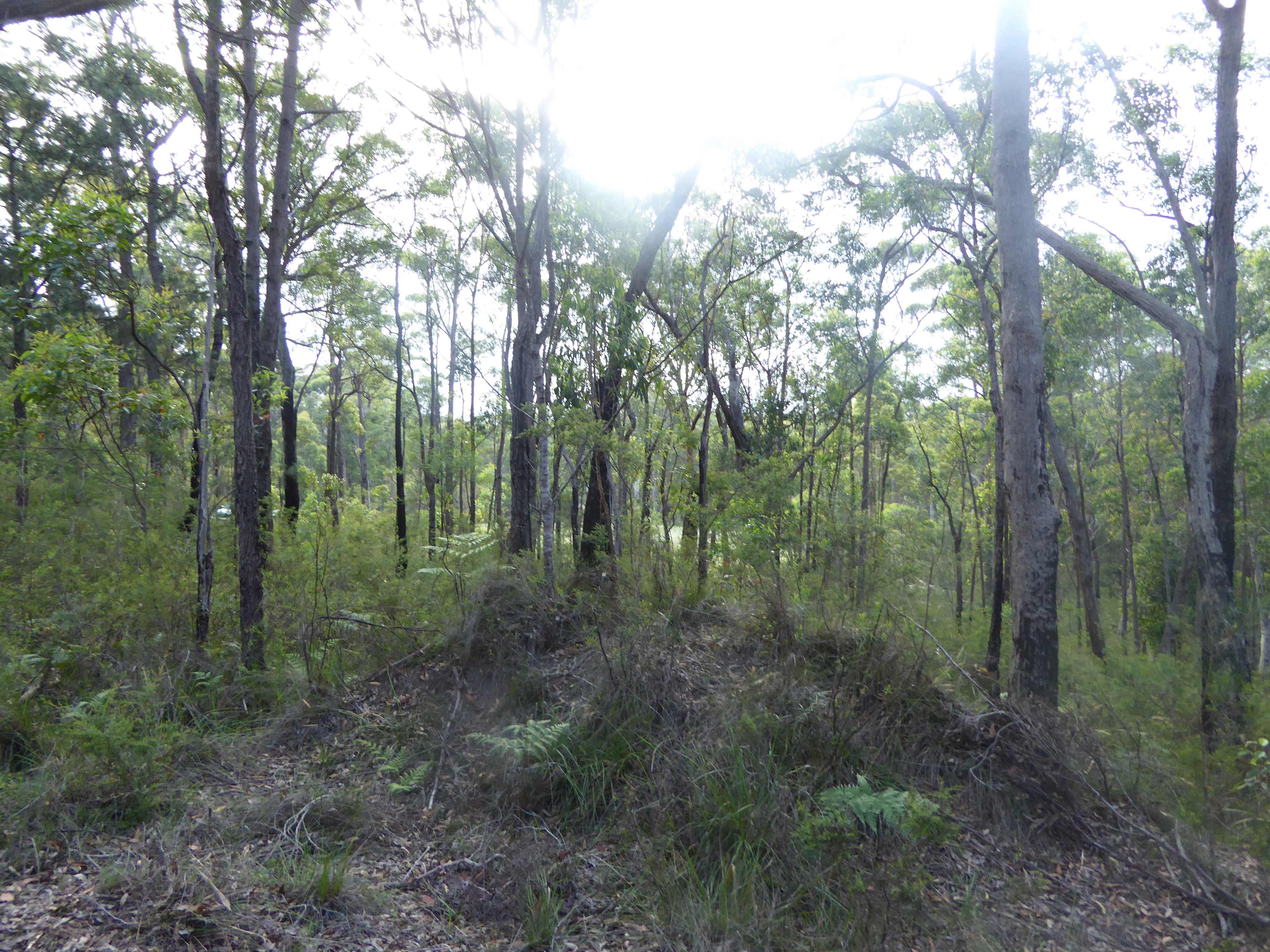 Campsite