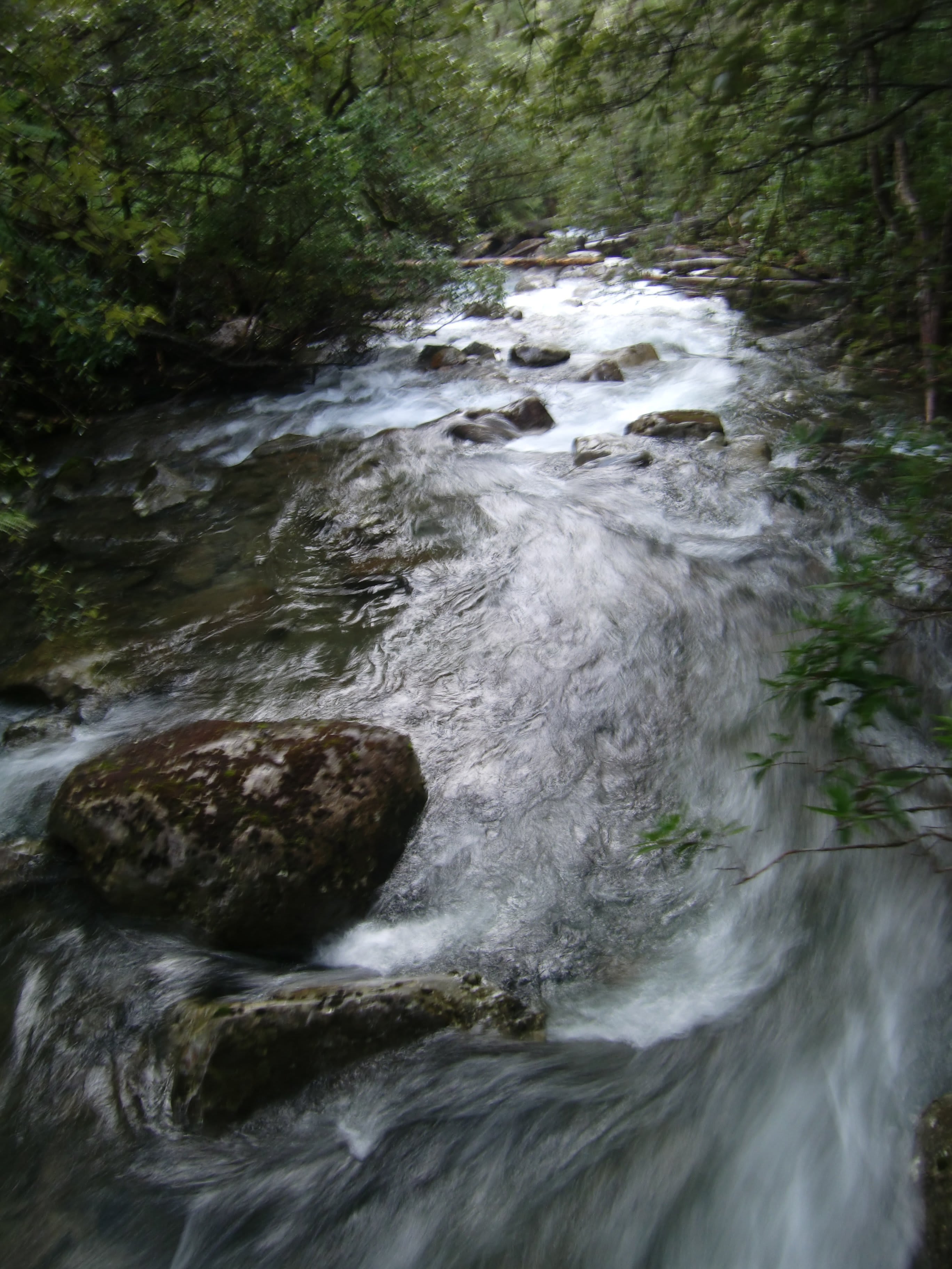 The beautiful clear Dale Brook