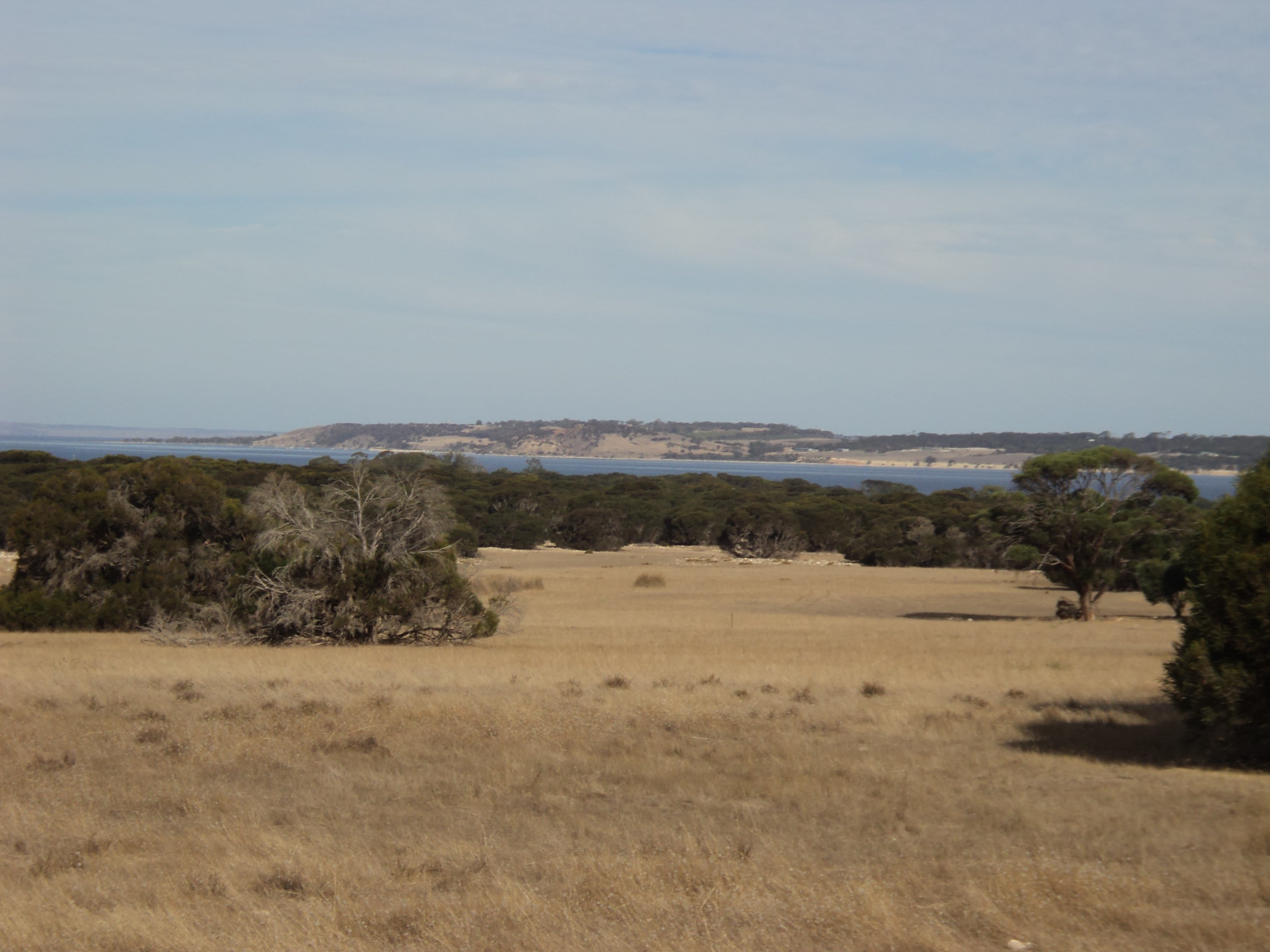 4WD sites overlooking Shoal Bay.