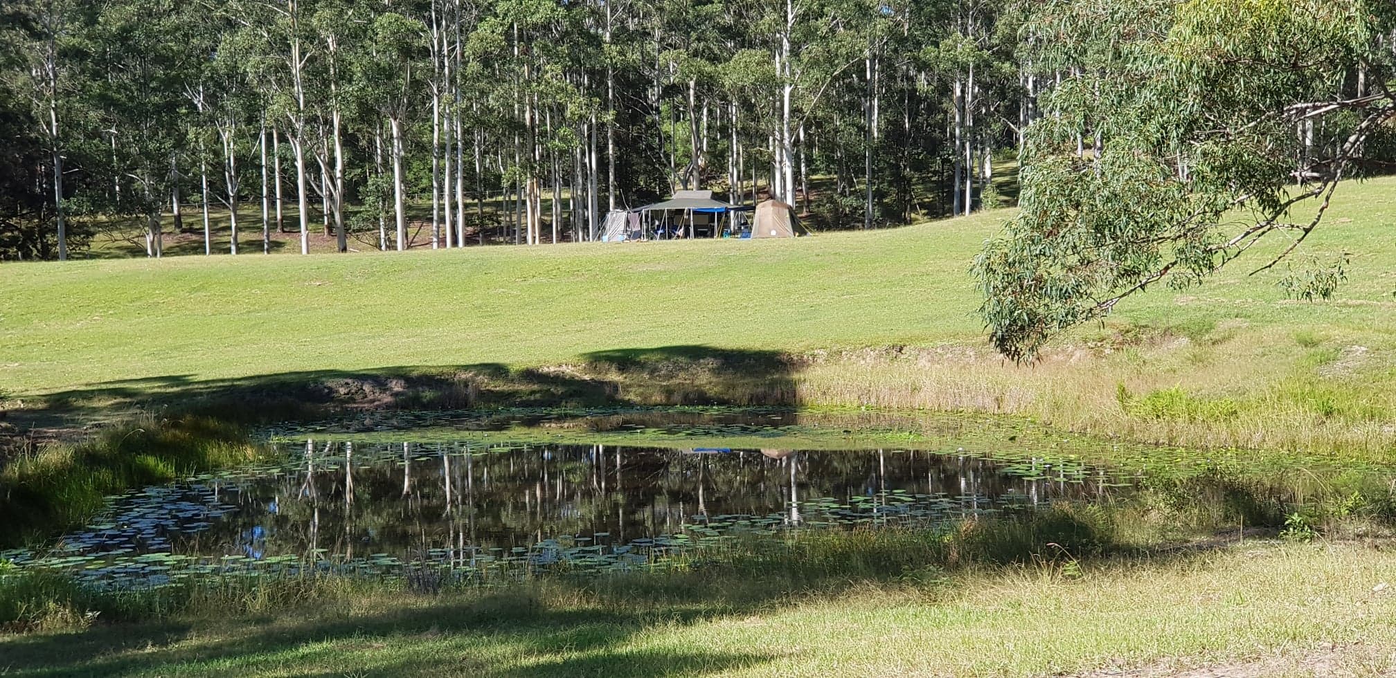 The Dam View Campsite overlooks 2 dams, one is full of Yabbies, and the other is our "swimming pool". 