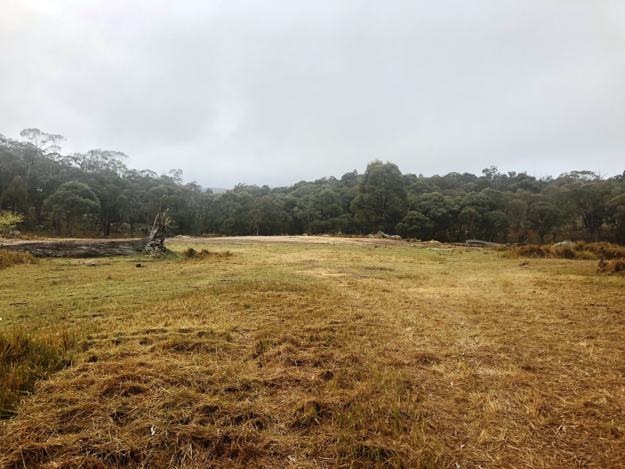 Jindalee