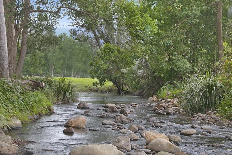 Crystal Creek