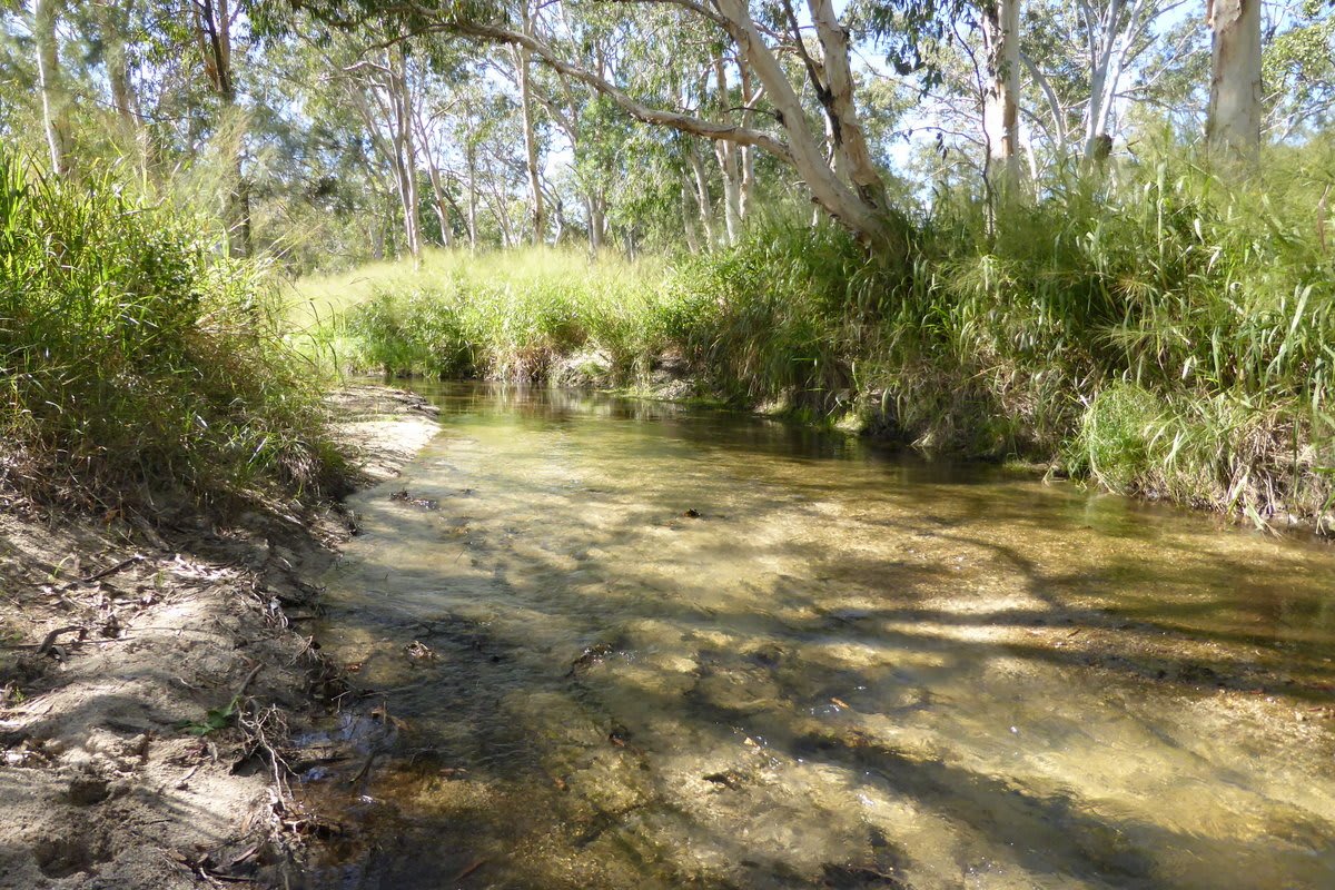 upstream at site 2