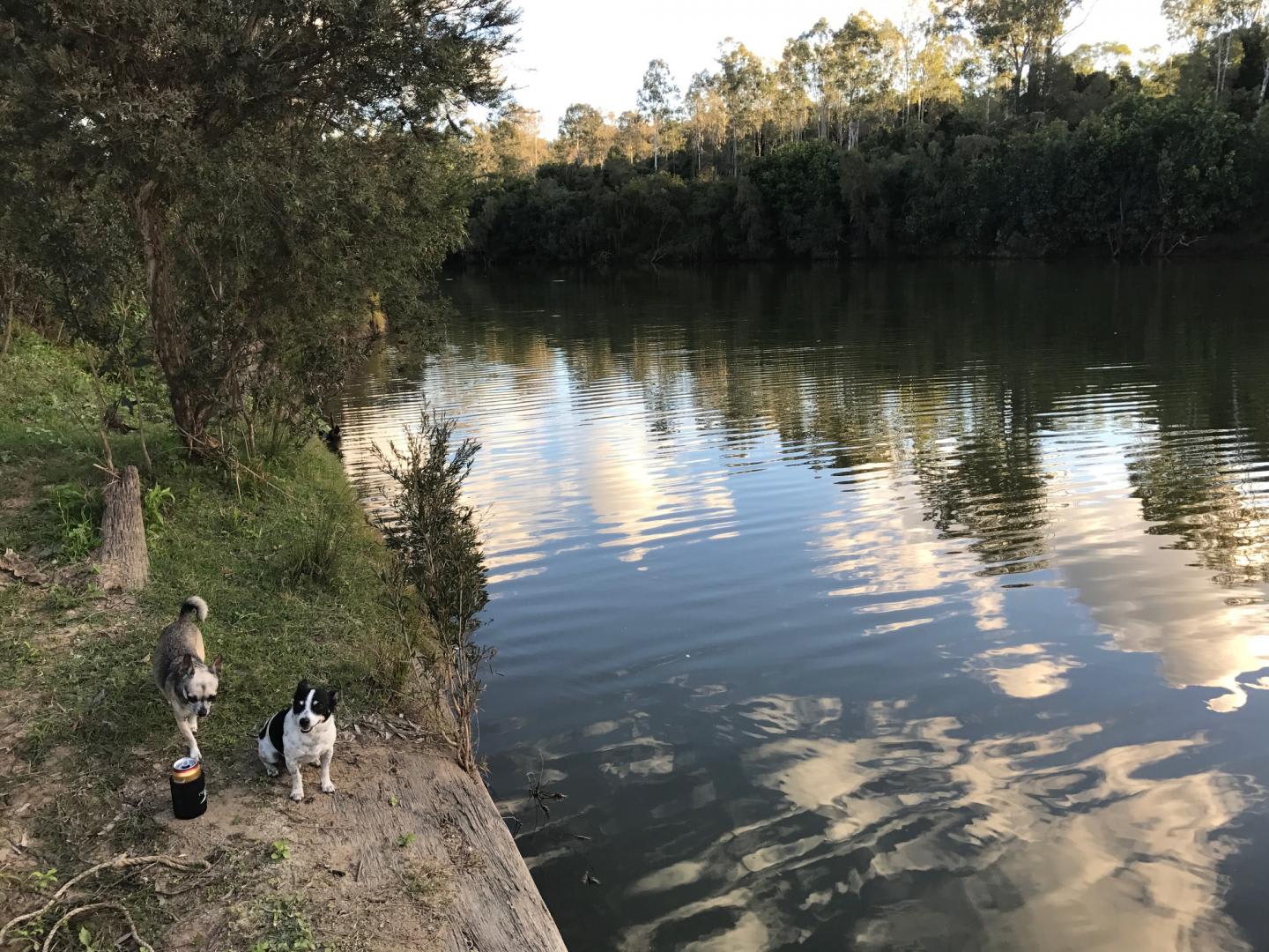 Mary River Farmstay