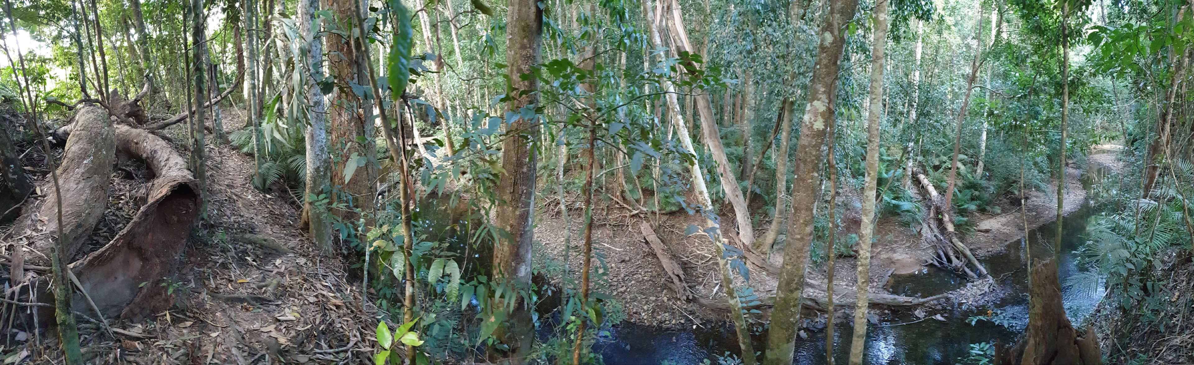 Creekside swimming hole trail