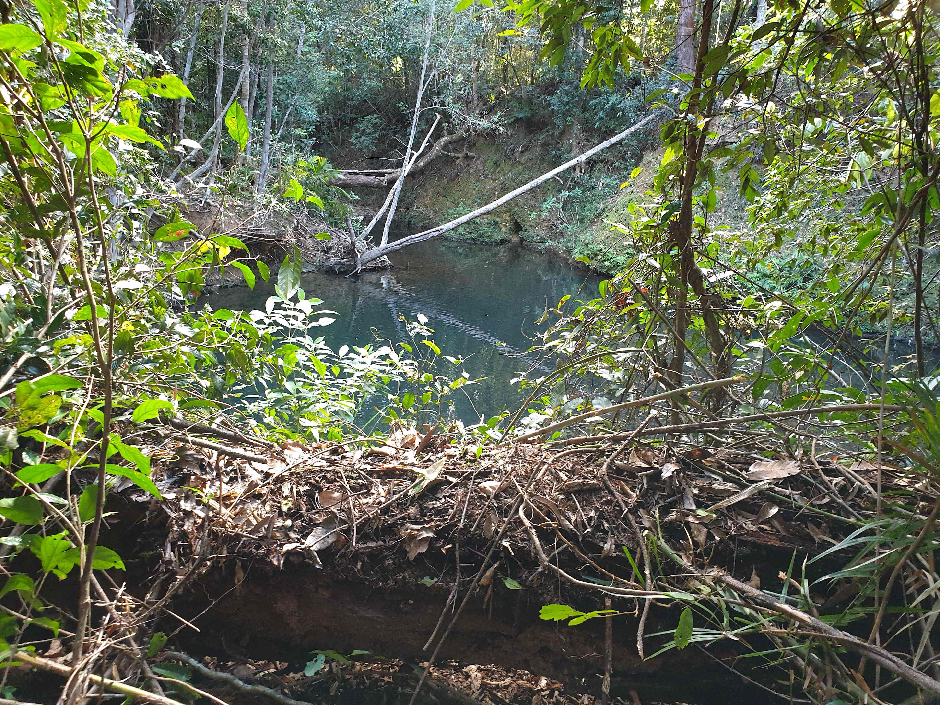 Swimming hole