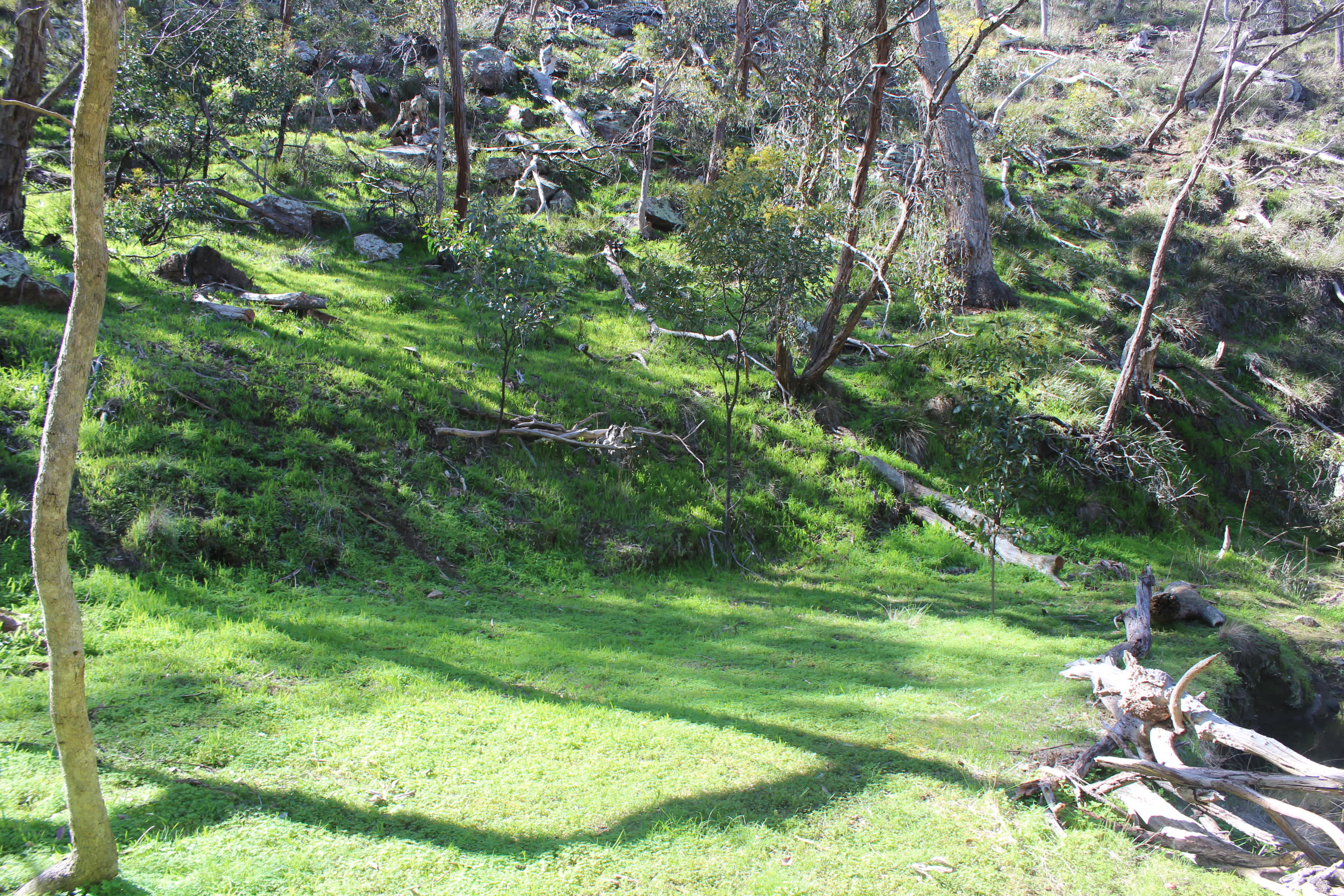 Picture of the site