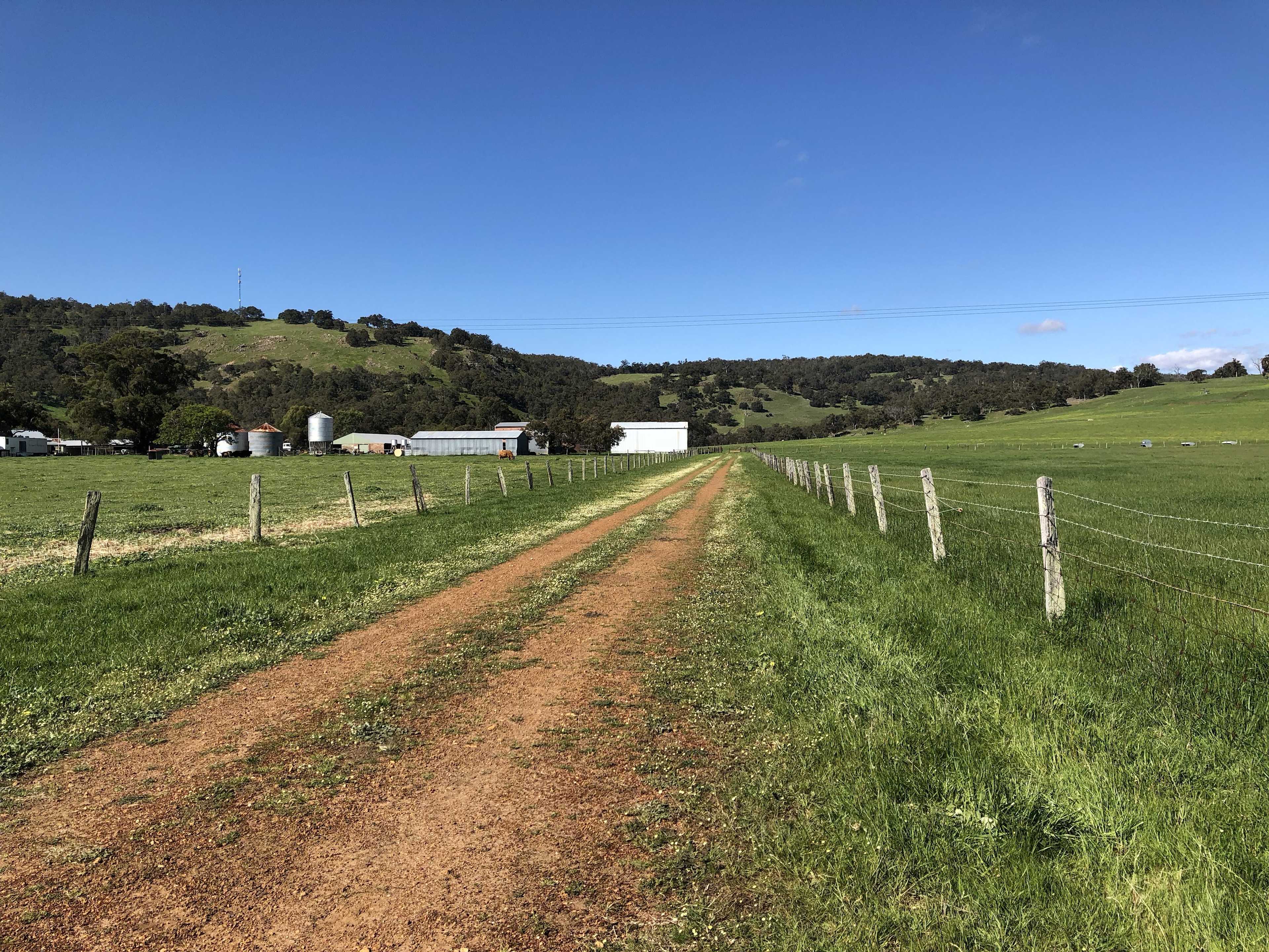 Picture of the site