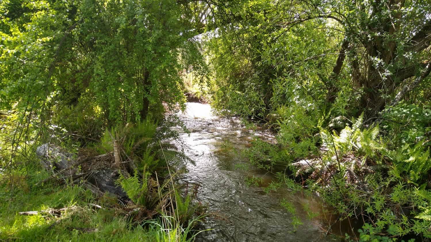 Shundahai, Central Highlands Tasmania