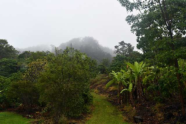 Talweg of Talley Valley on the Gold Coast