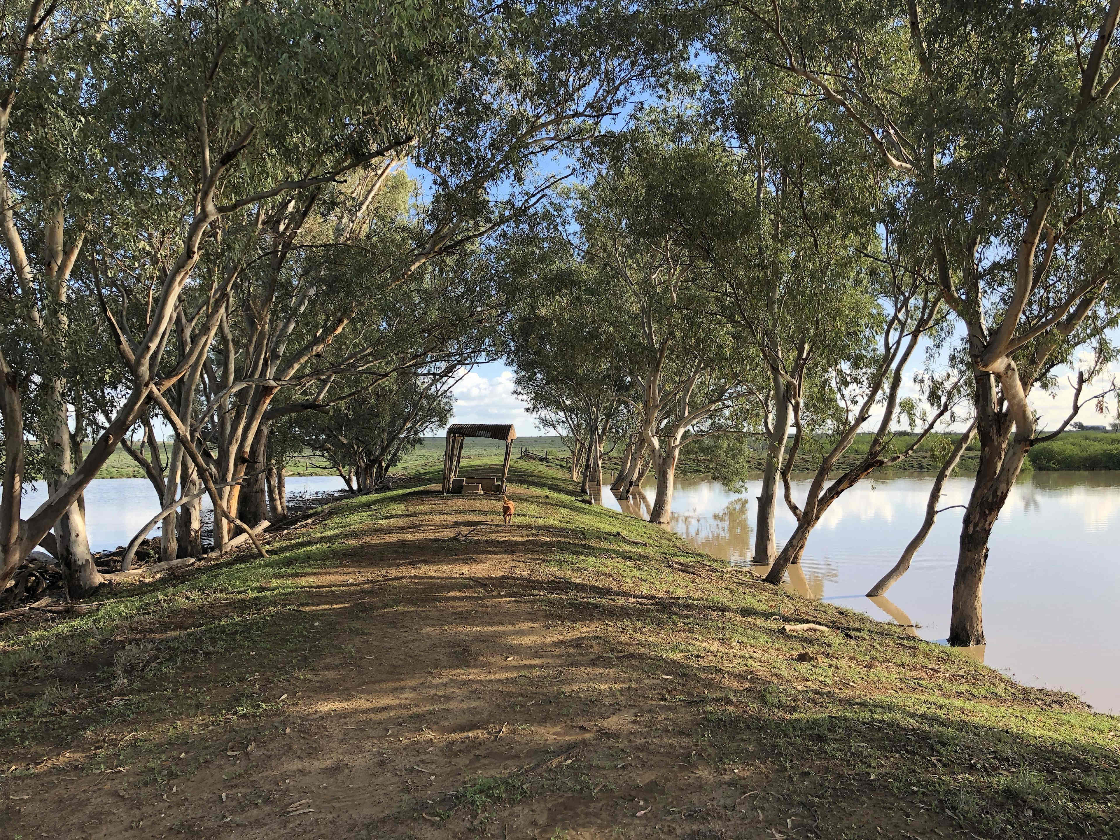 Picture of the site