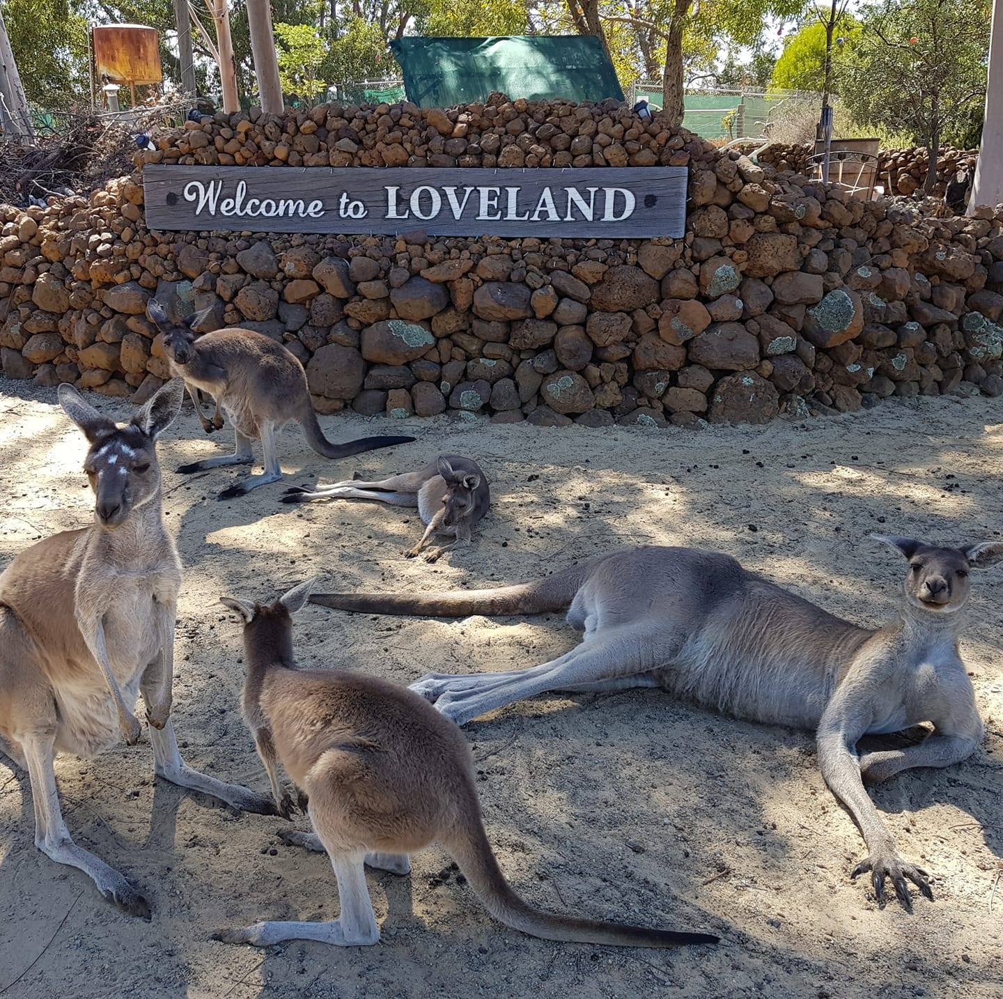 Loveland Farmstay