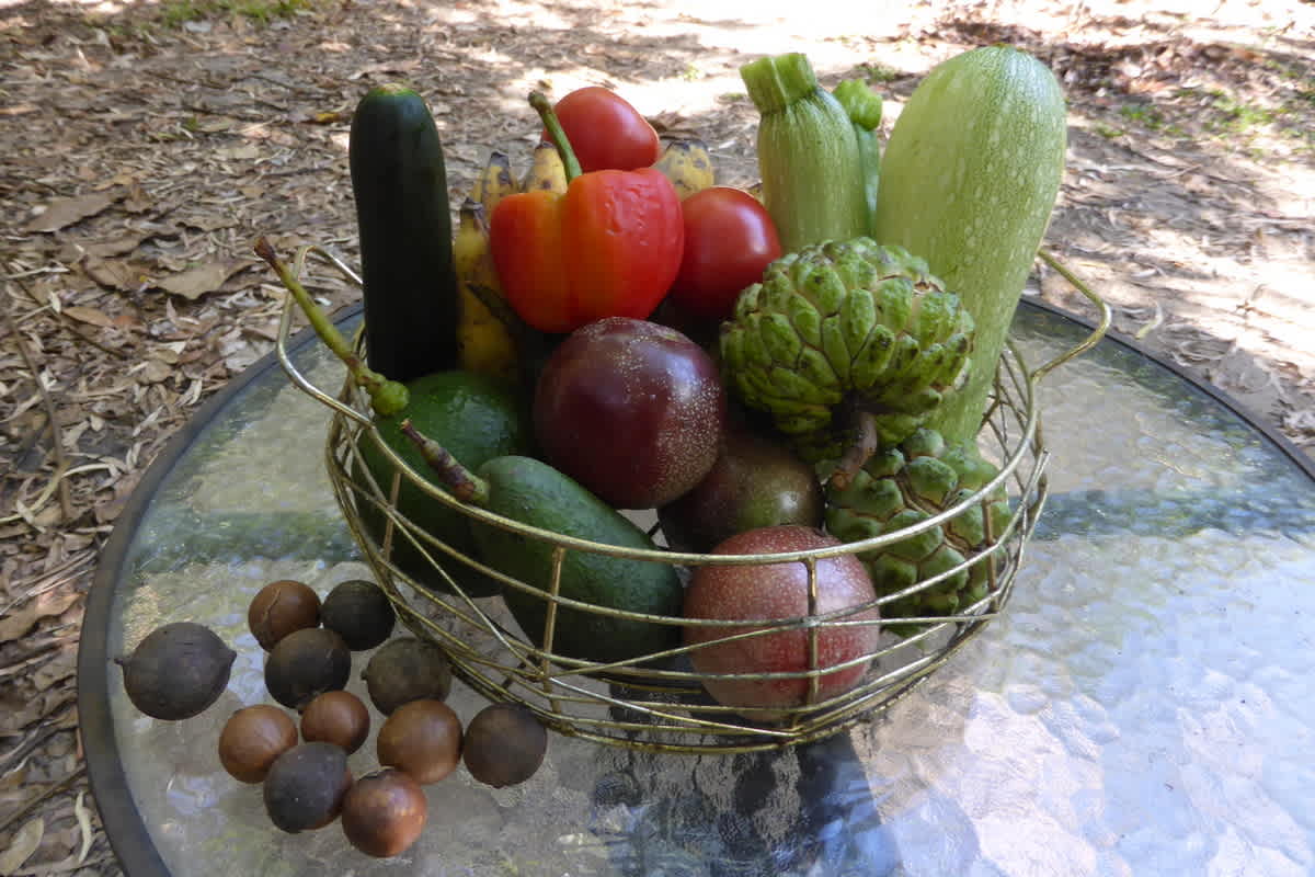 some of our produce
