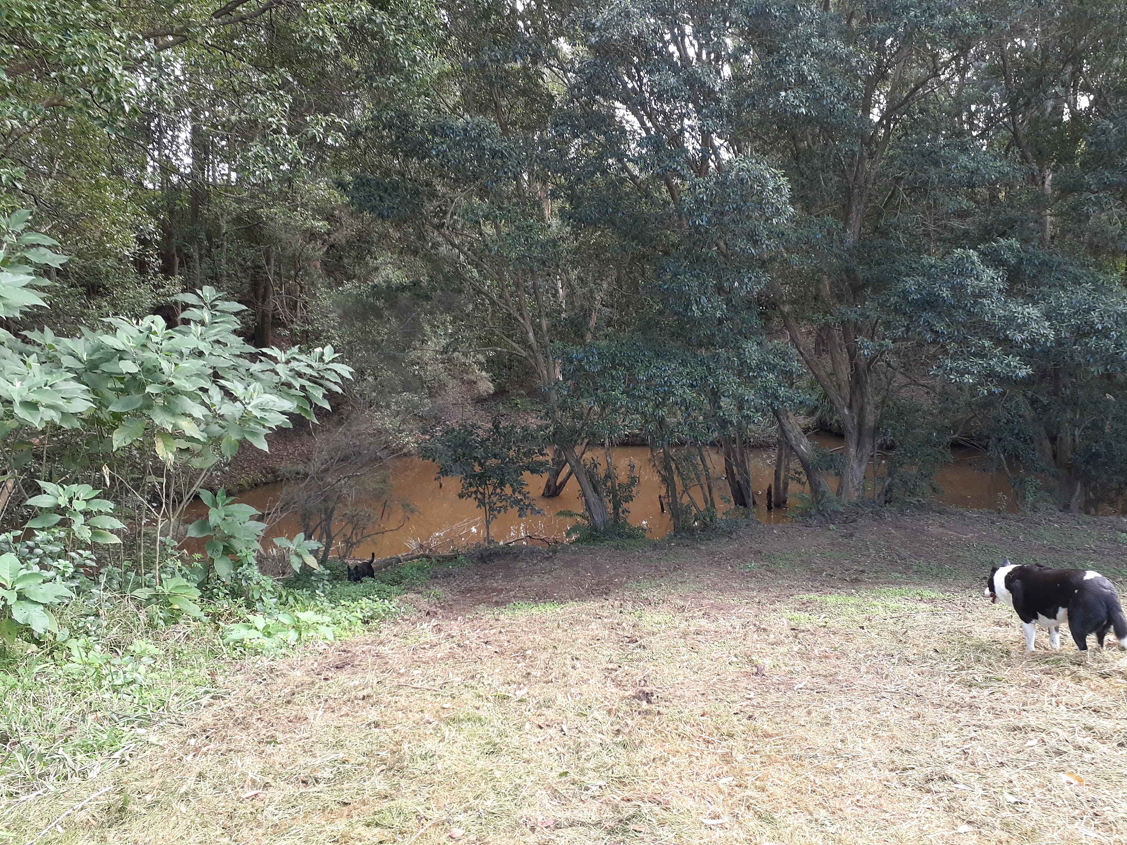 Kooinda Farm