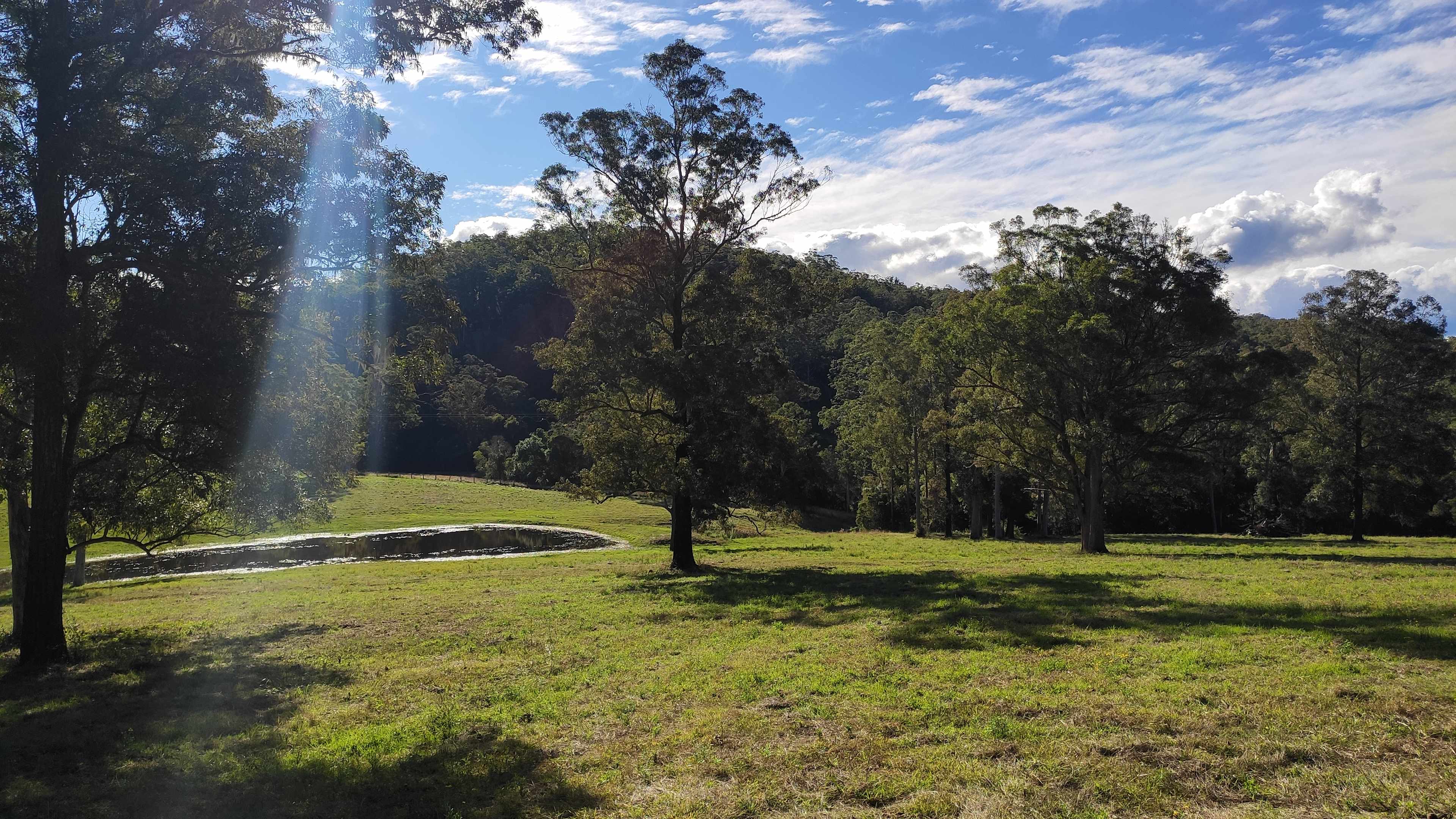 Site 2