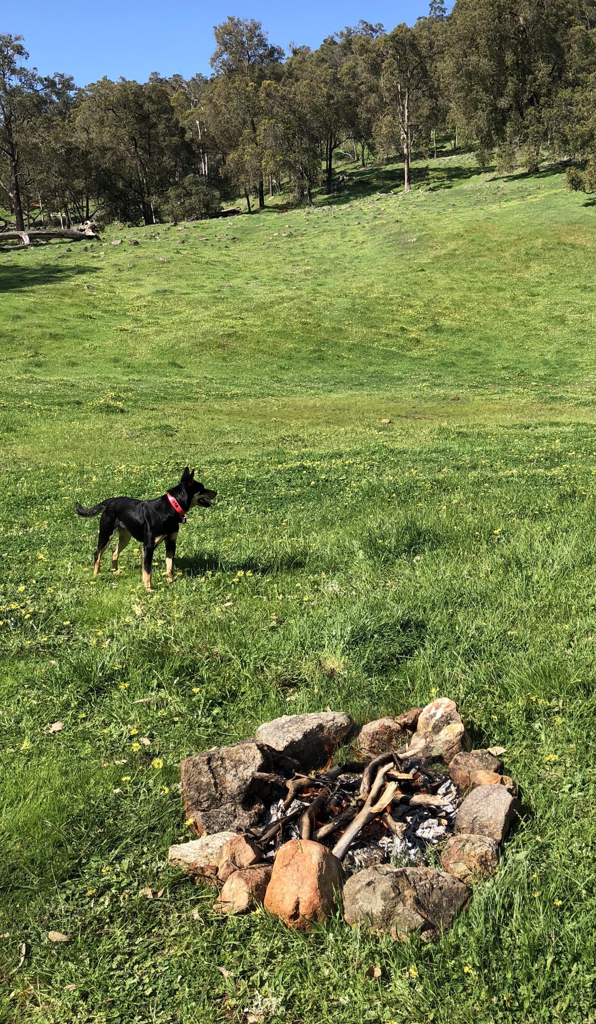 Bolinda Vale Farm