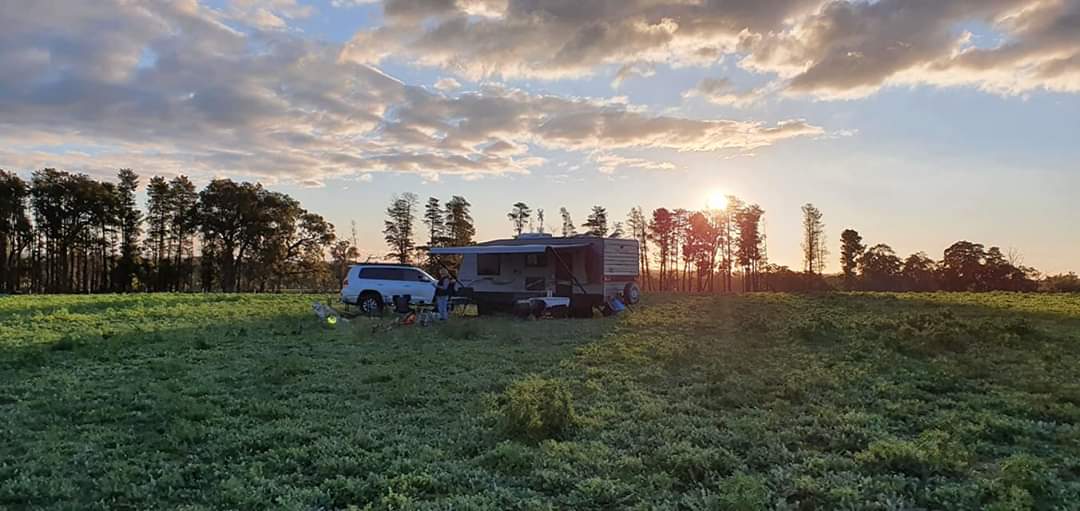 Jacaranda Hill Farm