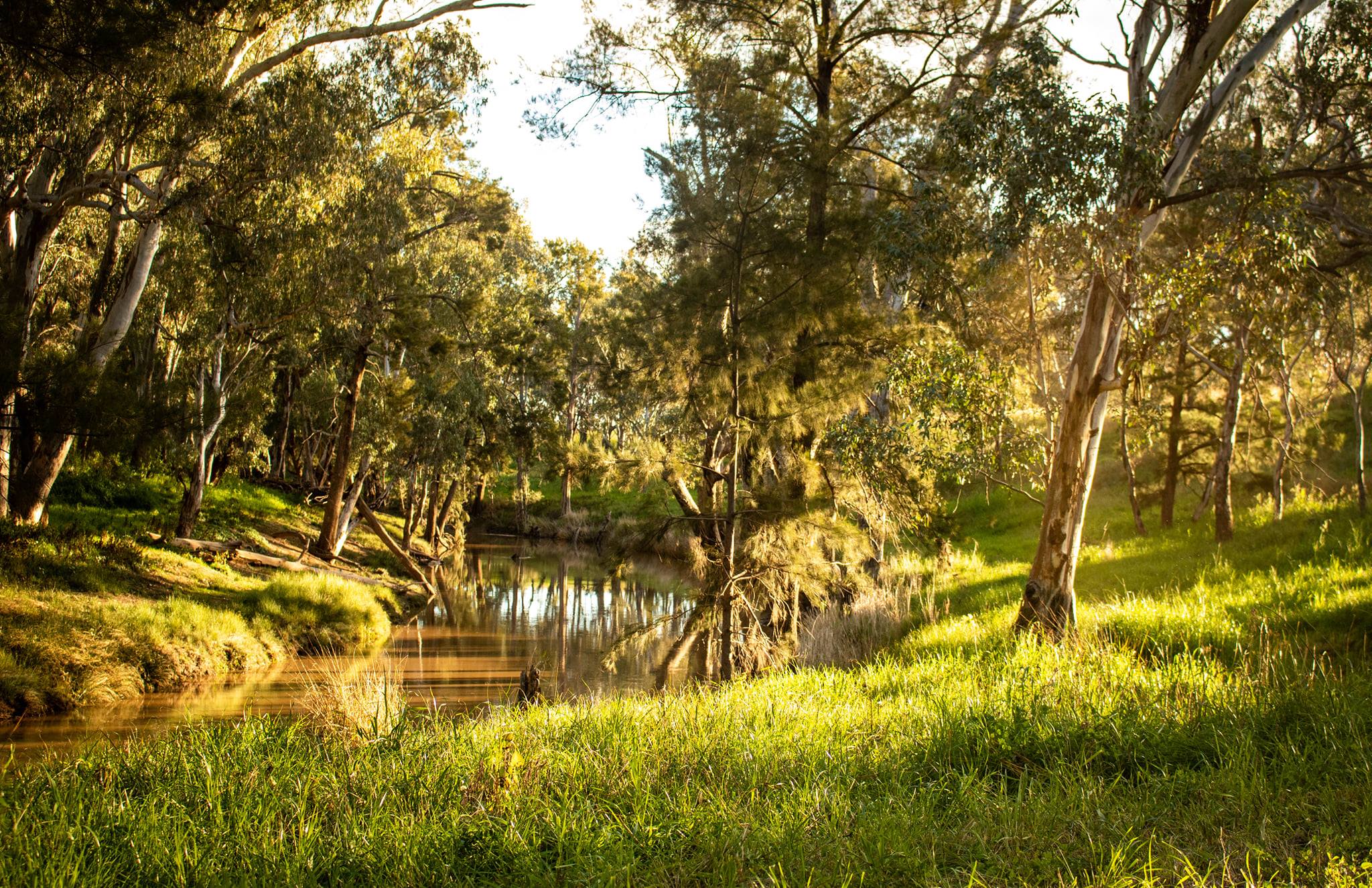 Walk along the Talbragar river