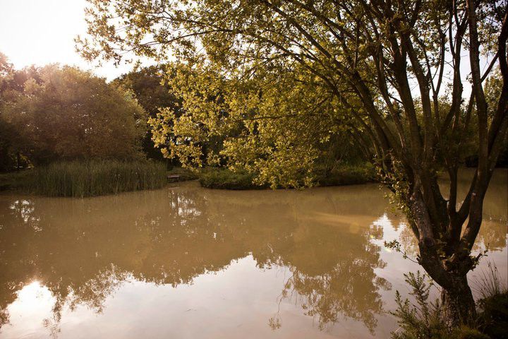There is a lake on the estate that guests can fish on. You must bring your own rods and landing net. 