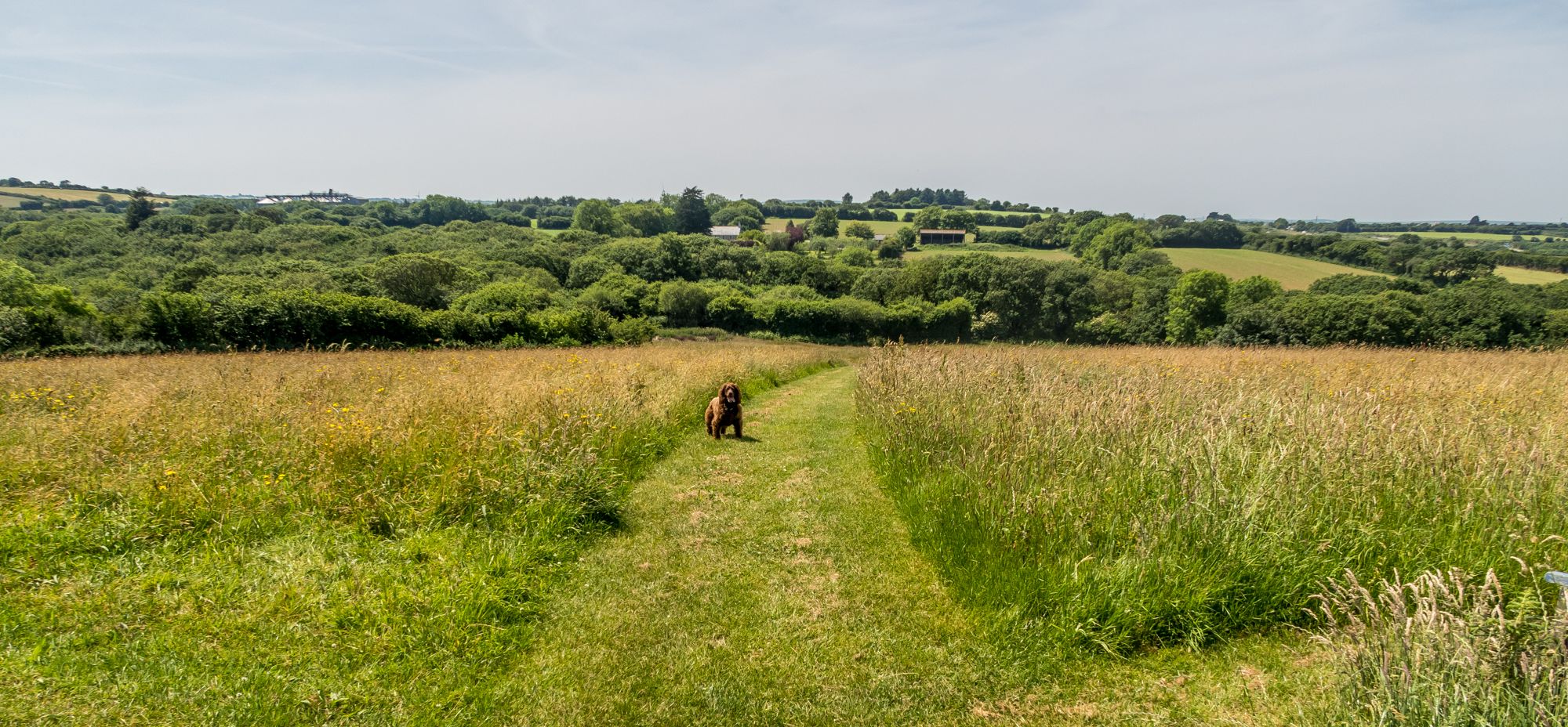 Grass Pitch in rear meadows