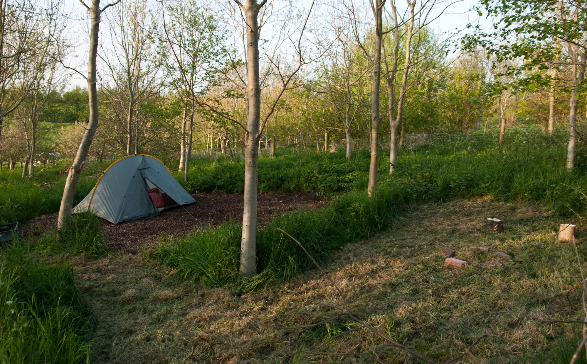 May 2018 - before the Ash trees were felled!
