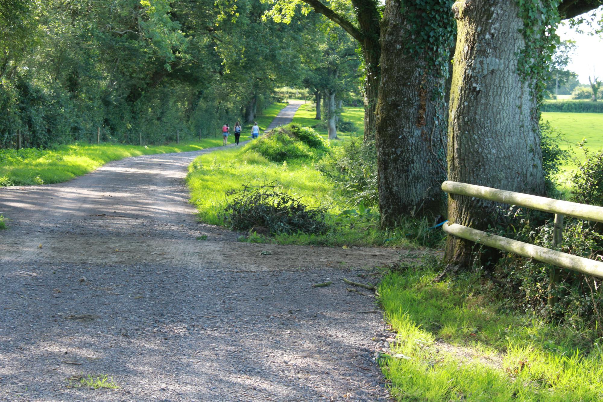 Daggles Campsite