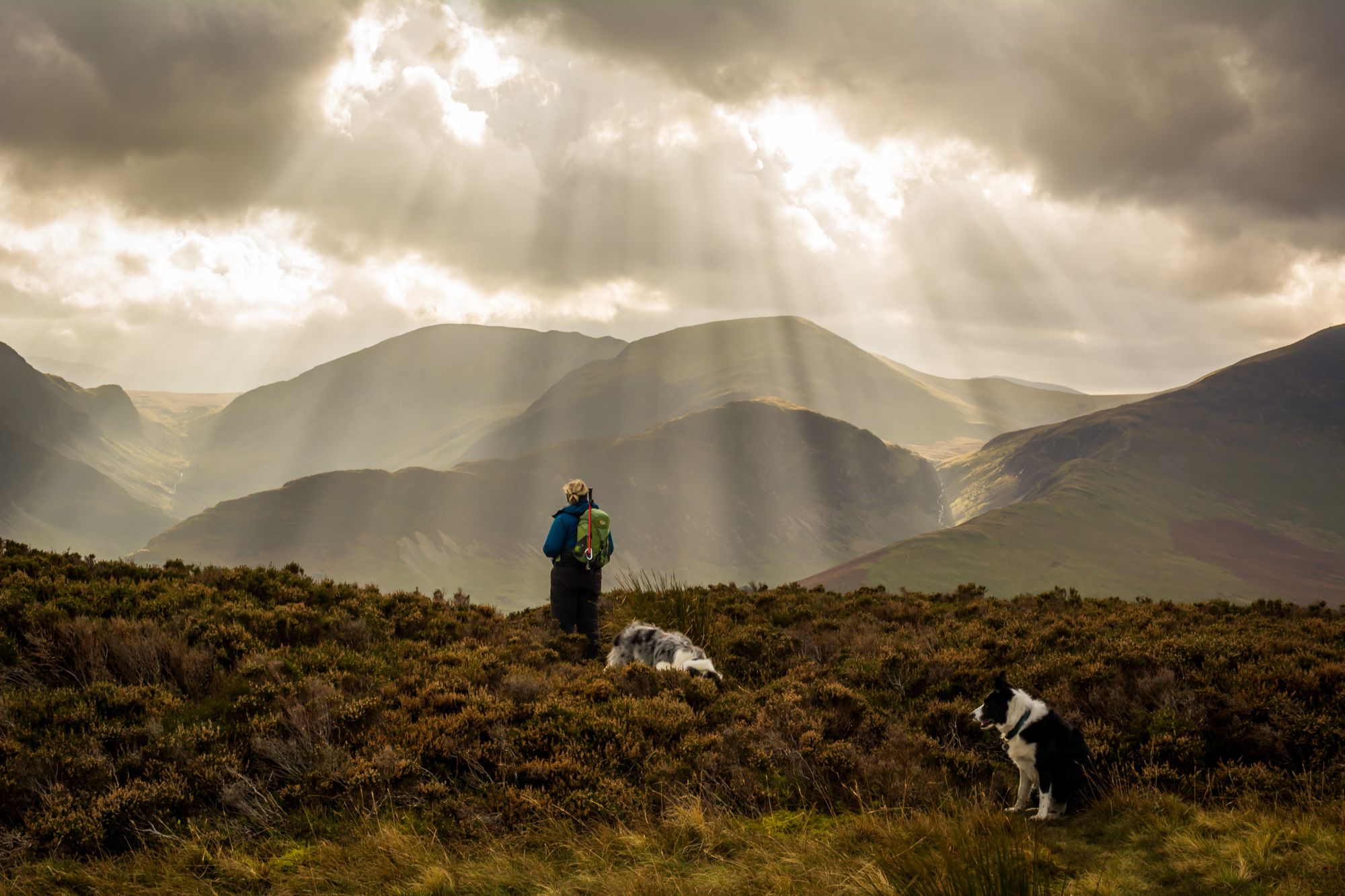 A family-friendly Lake District campsite, nestled between the quiet shores of Bassenthwaite Lake and the beautiful Cumbrian fells.