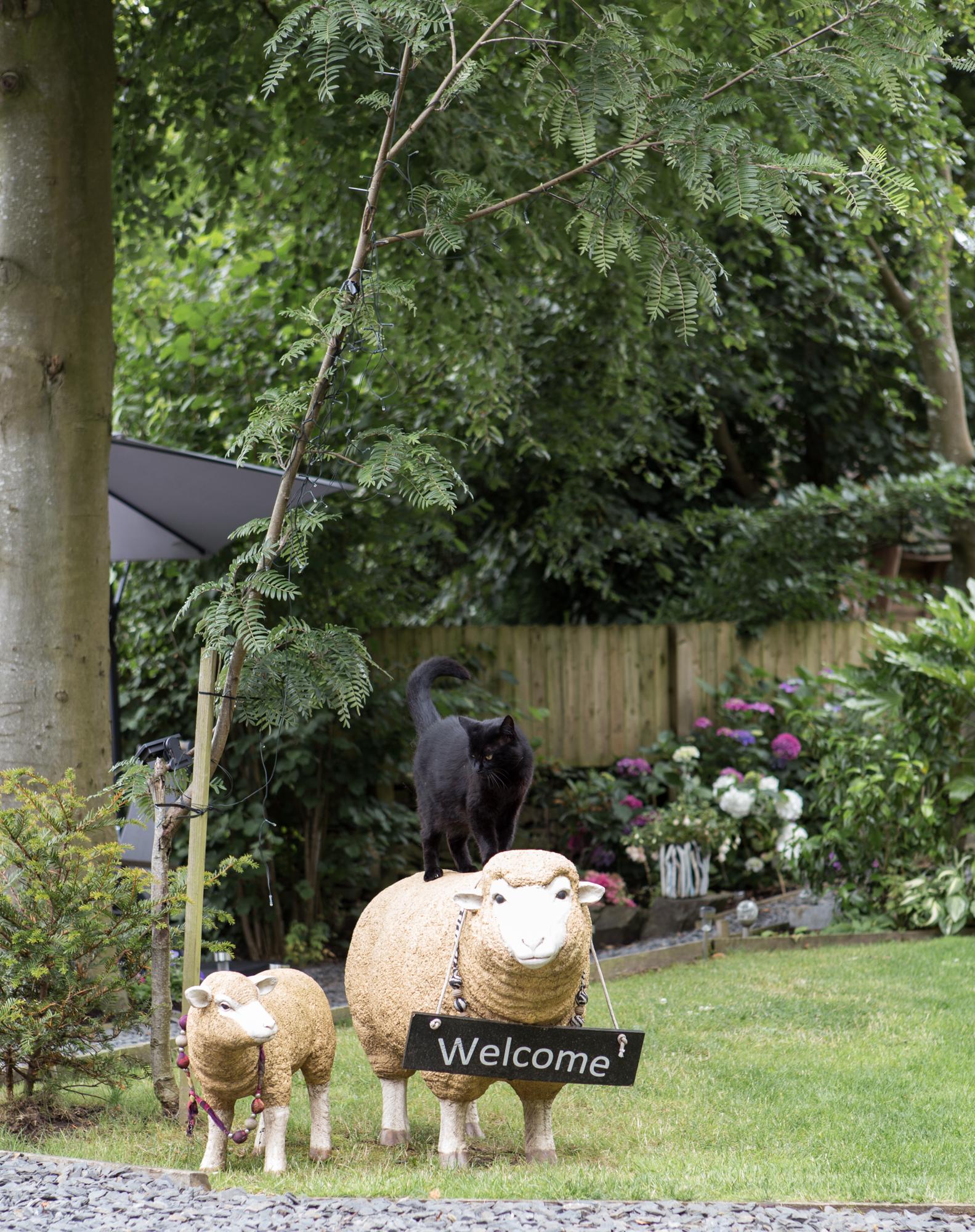 Shepherds Hut 2 Berth