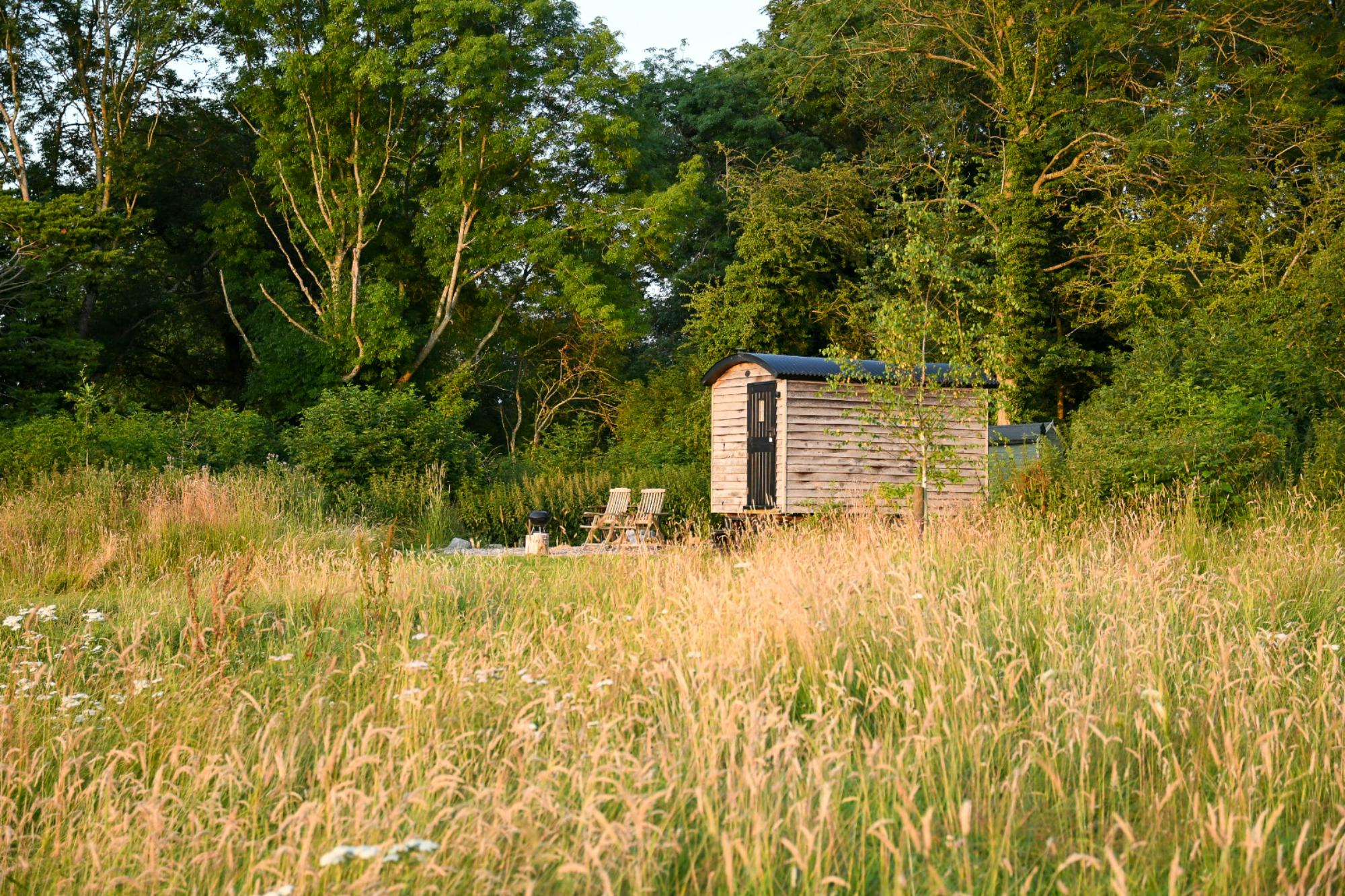 Oak Shepherd's Hut