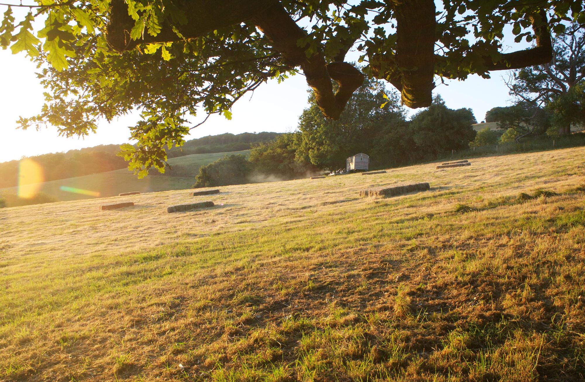 Romney Shepherds Hut 