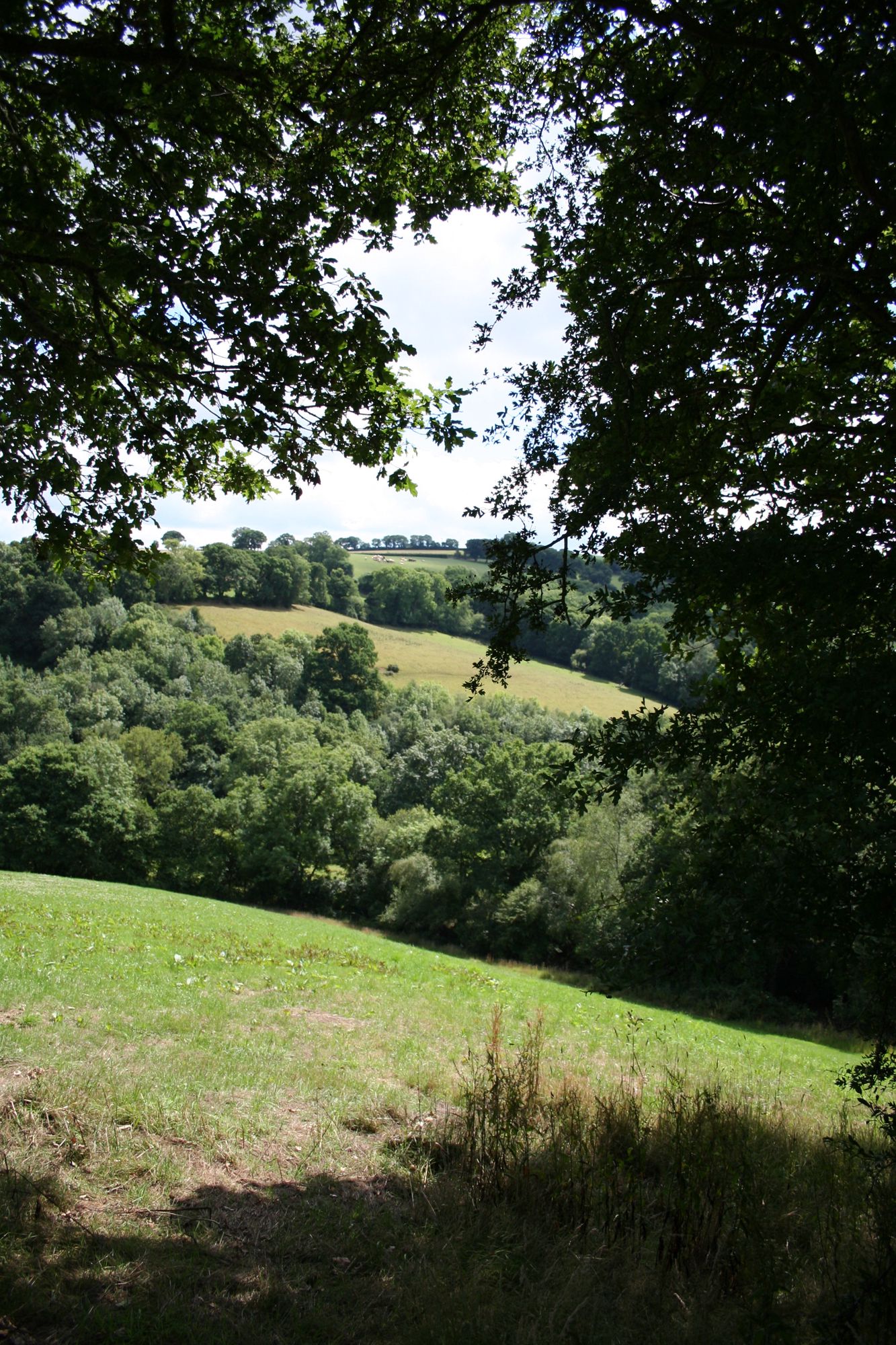 Oak Yurt