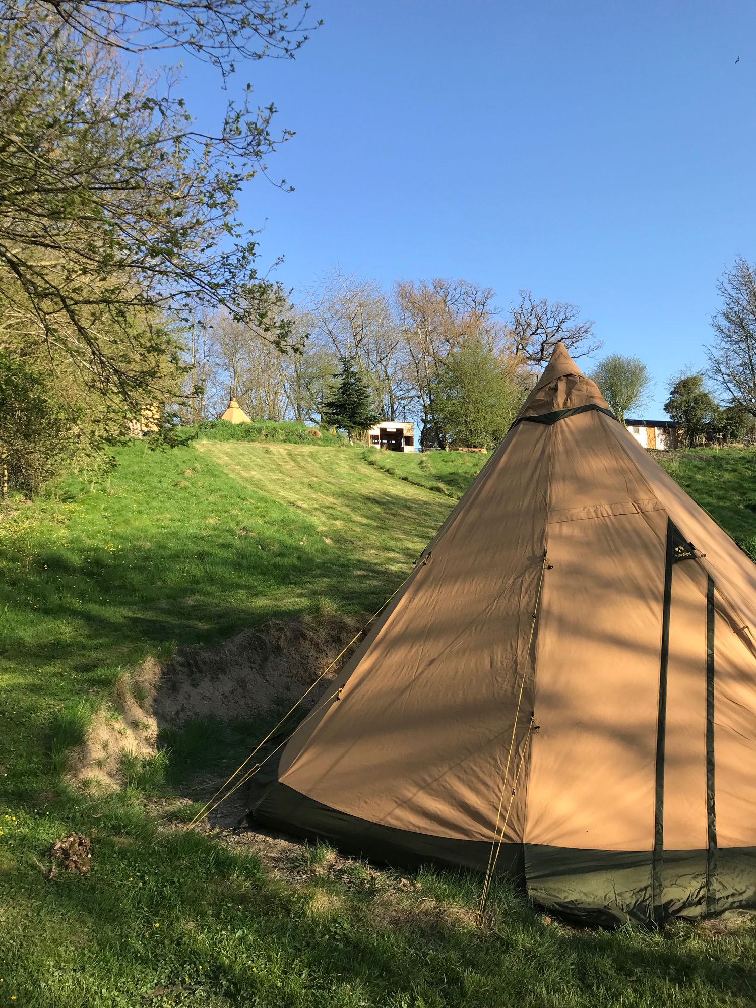 Tipi Mavis
