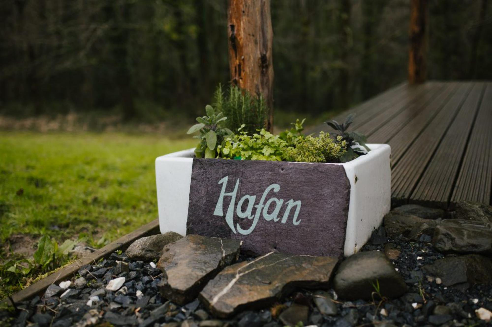 Hafan