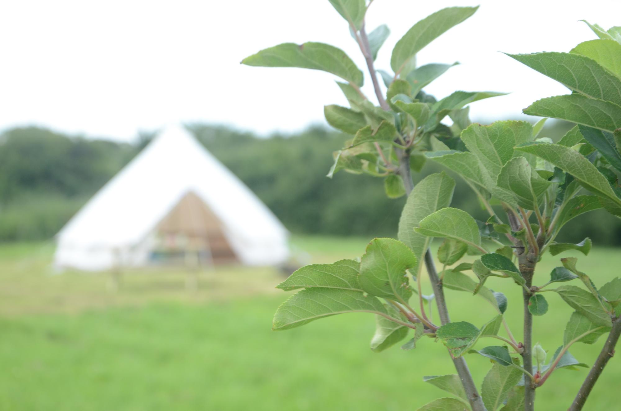 Bright Sky Glamping