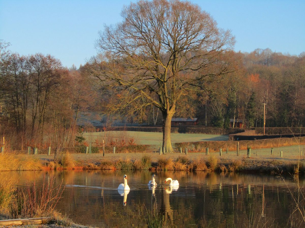 Glamping pods, Scandinavian lodges and regular camping and caravanning, Woodside Country Park in Herefordshire has something for everybody.