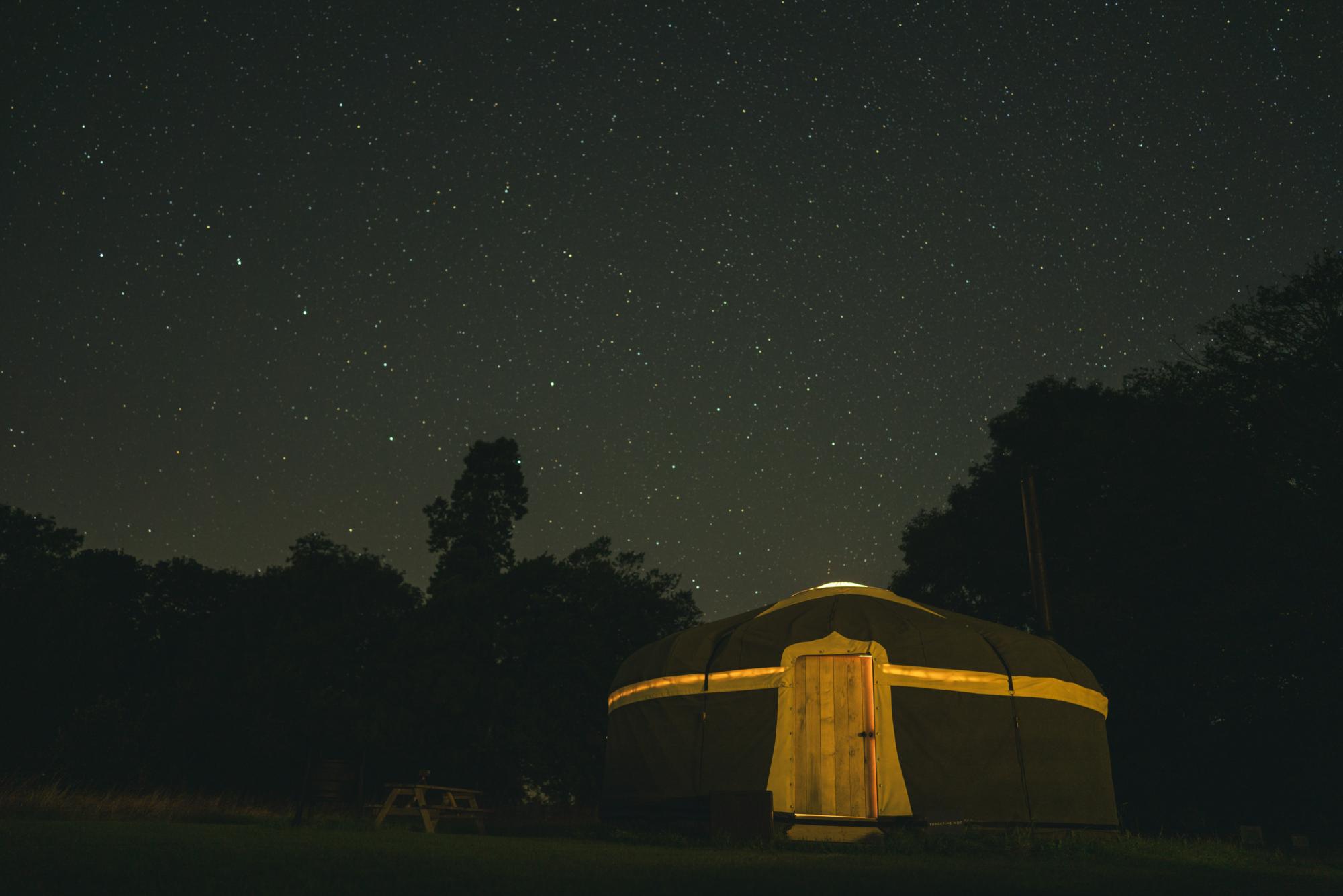 Wild Meadow, Raynham Estate