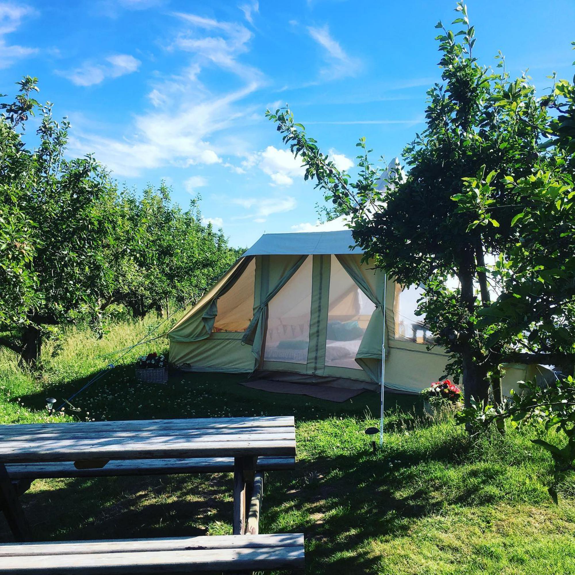 The Apple Farm