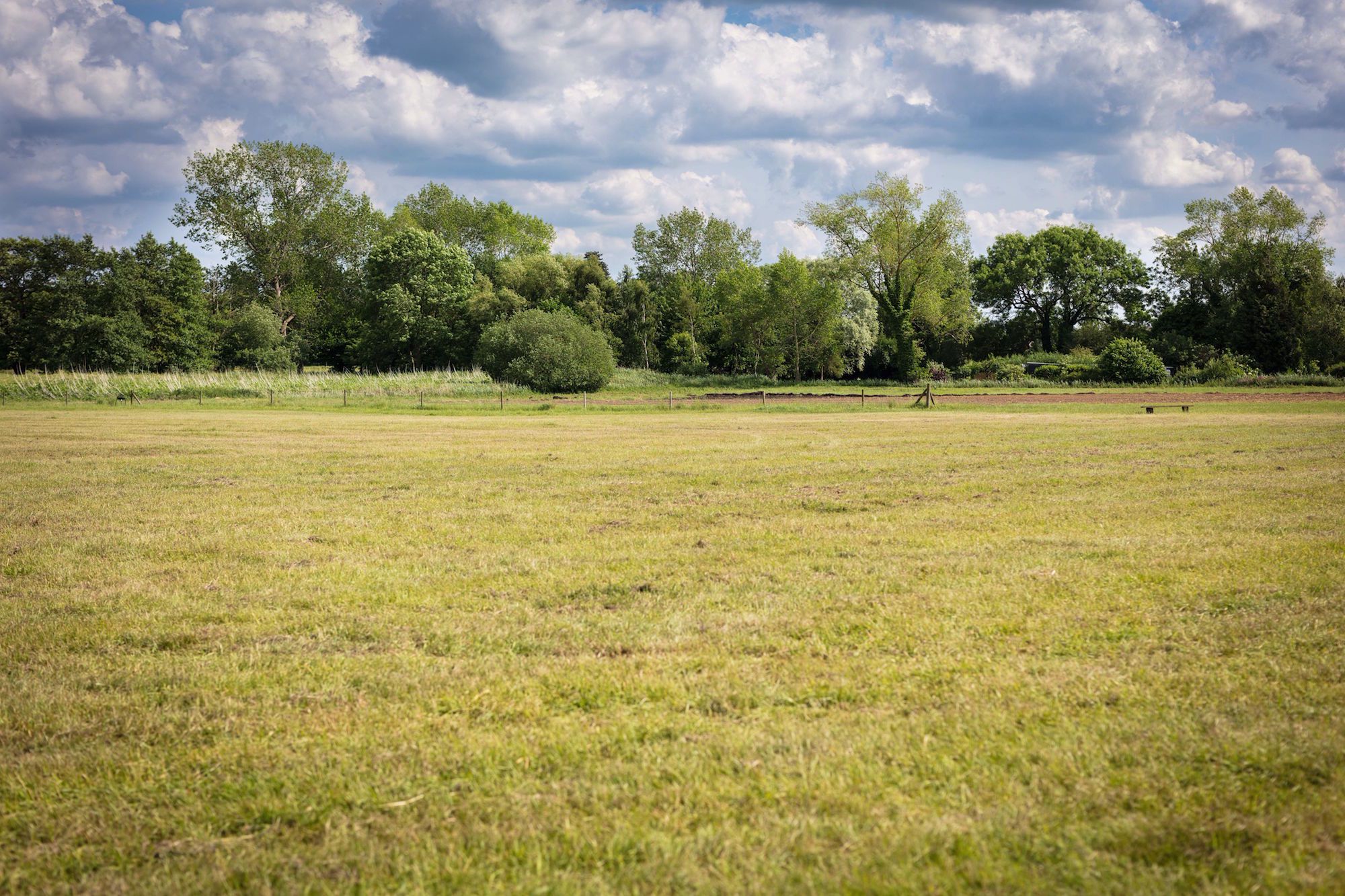 Grass Pitch 