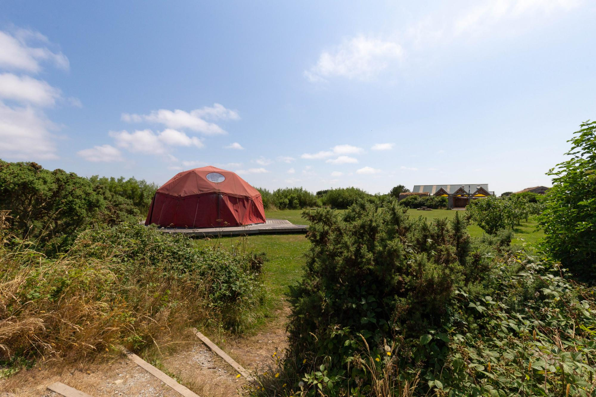 The Orchard Campervan and Tourers Pitch