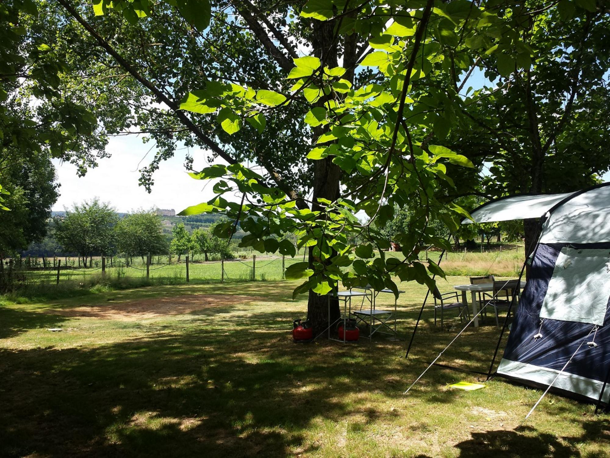 (RT) Rental Tent