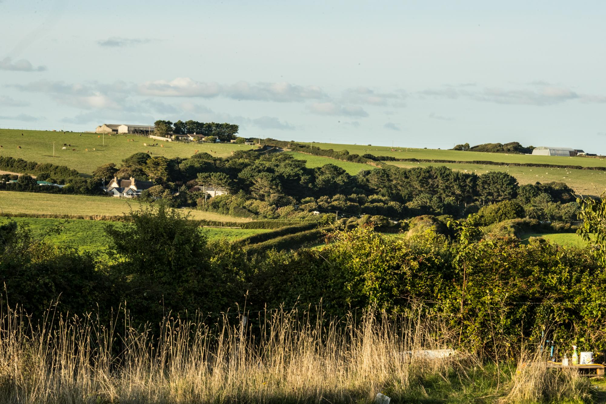 The Paddock Wildcamp