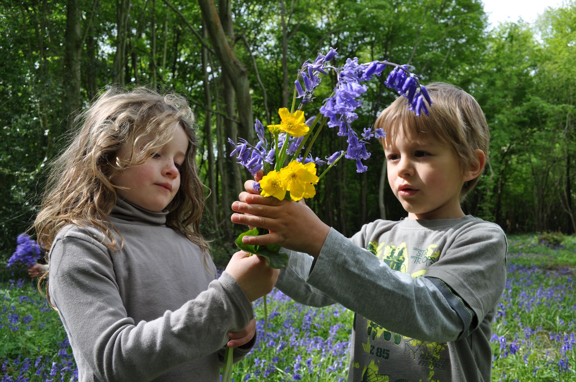 Secret, hidden camping gem, nestled sweetly in the Sussex Countryside