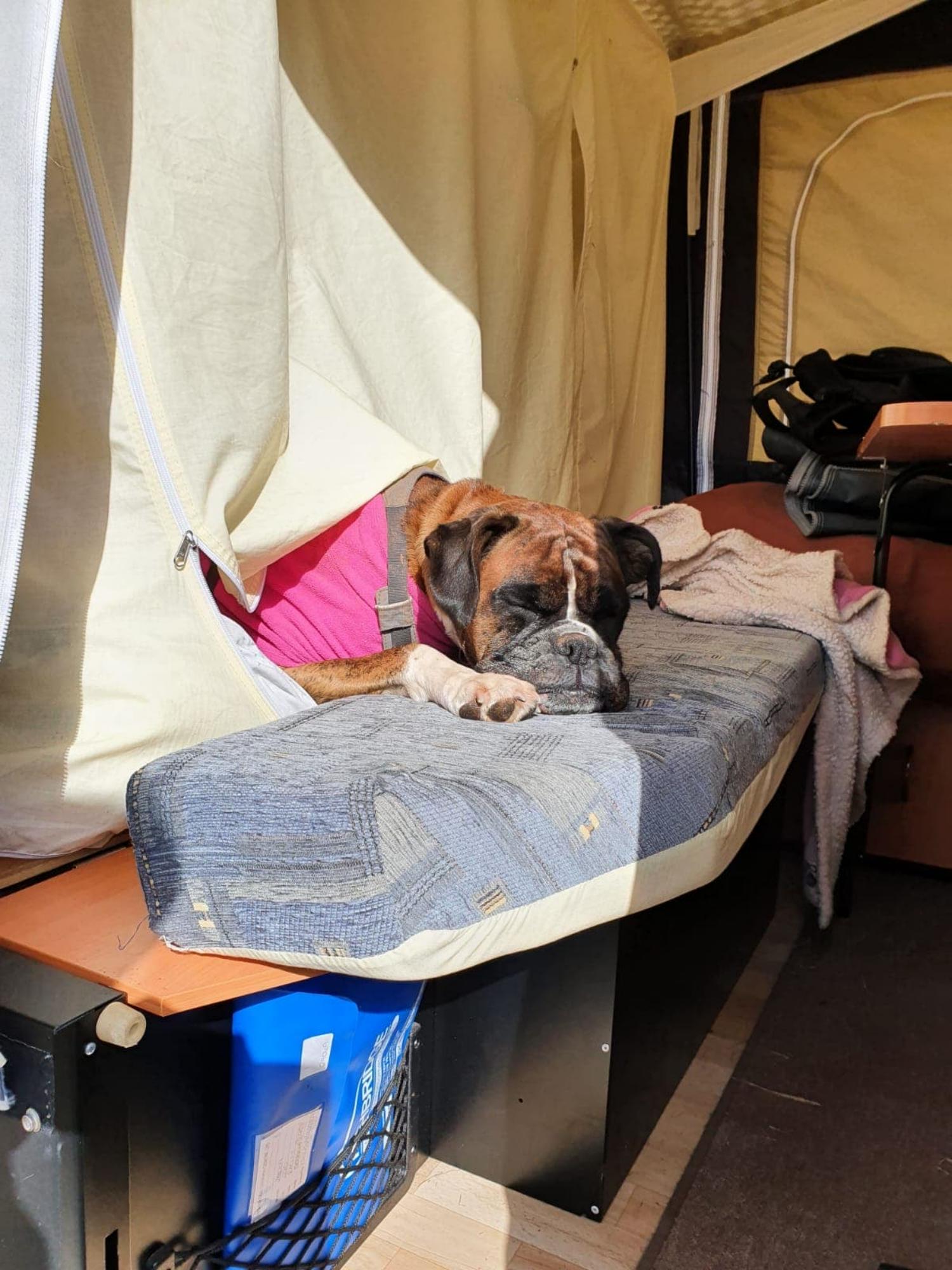 Camping Pitch