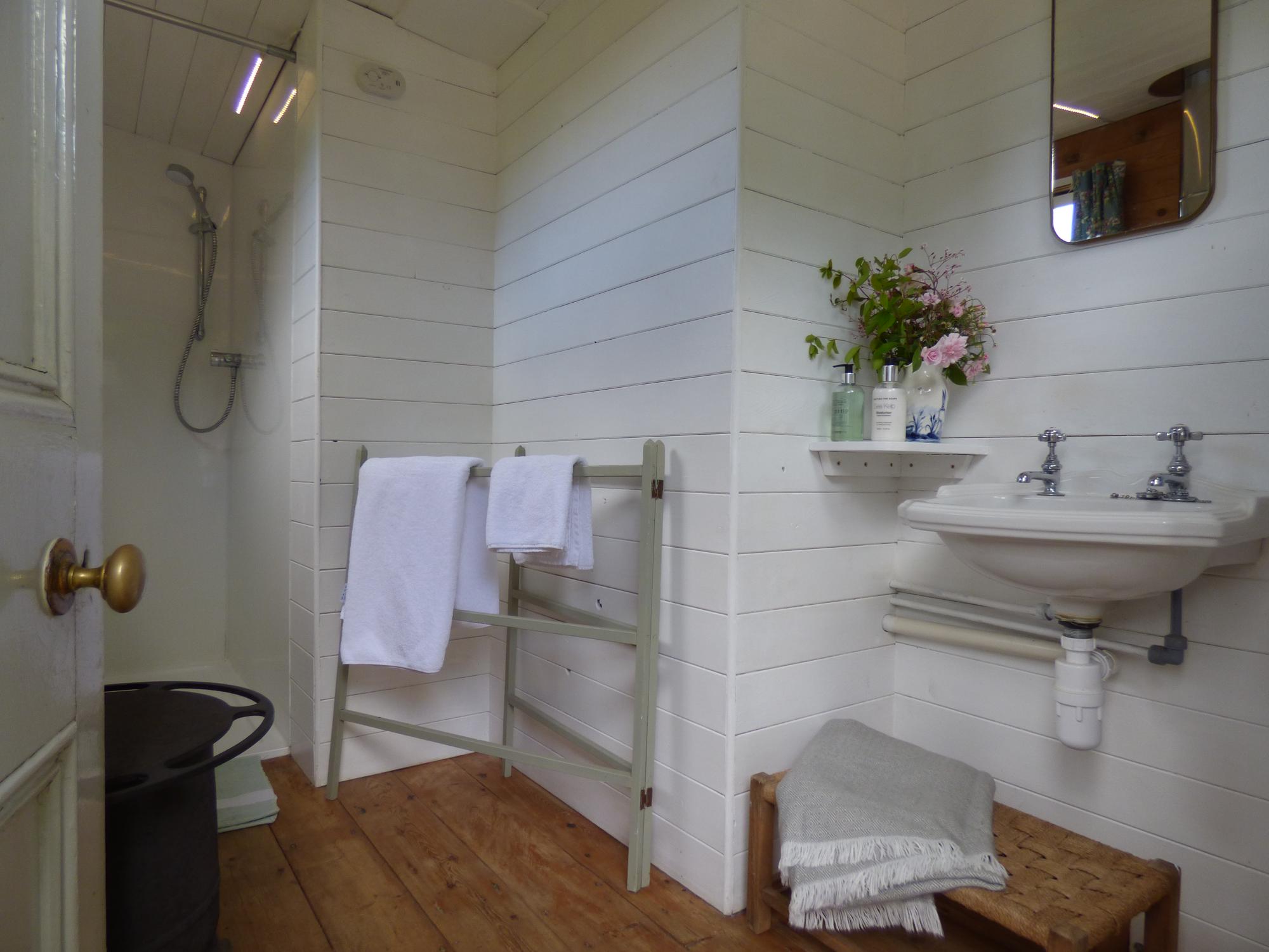 Shepherd's Hut with private hot tub