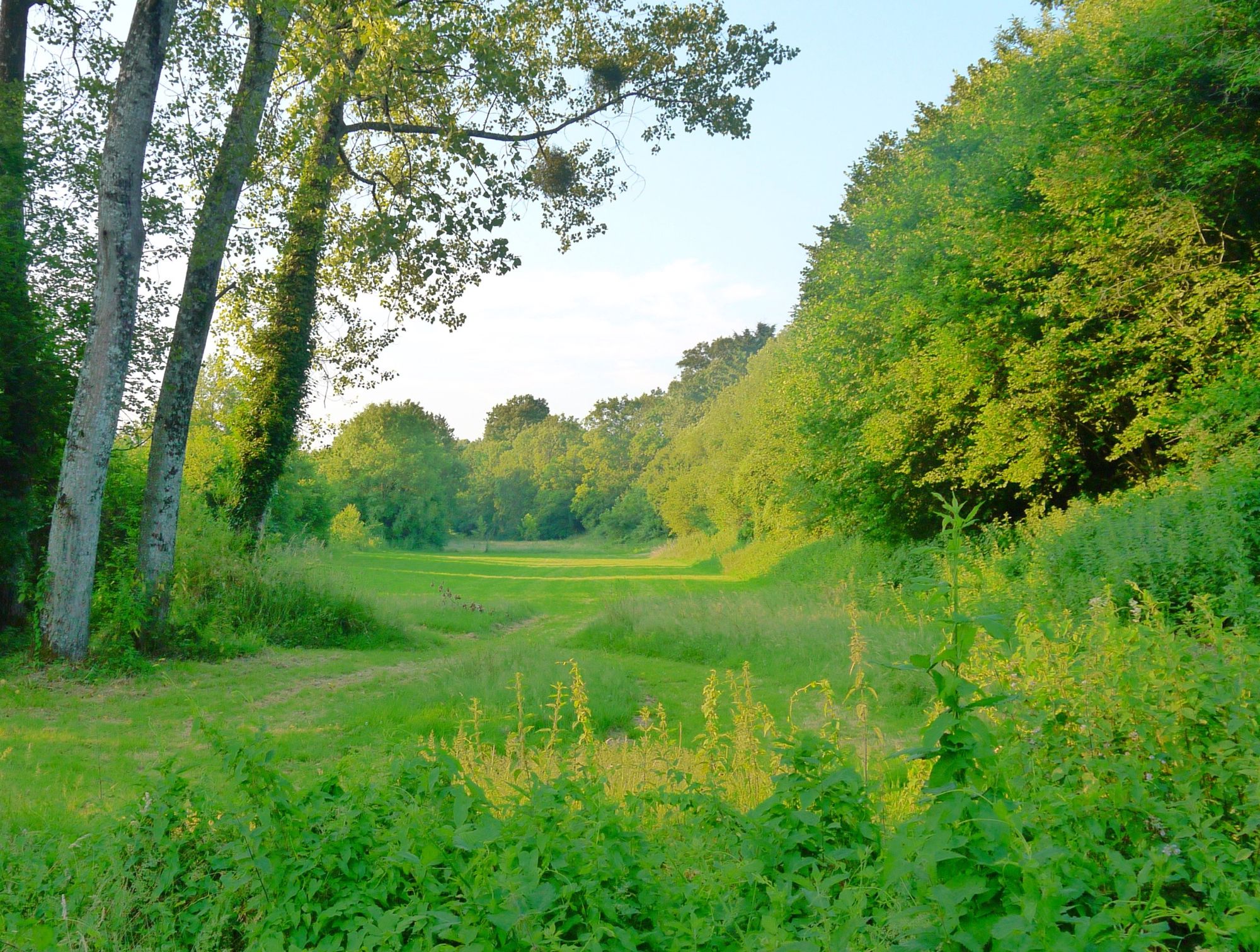 Traditional, riverside camping in France's second sunniest region. 