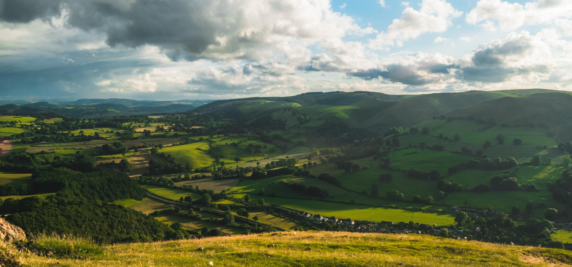 Wild camping pitch