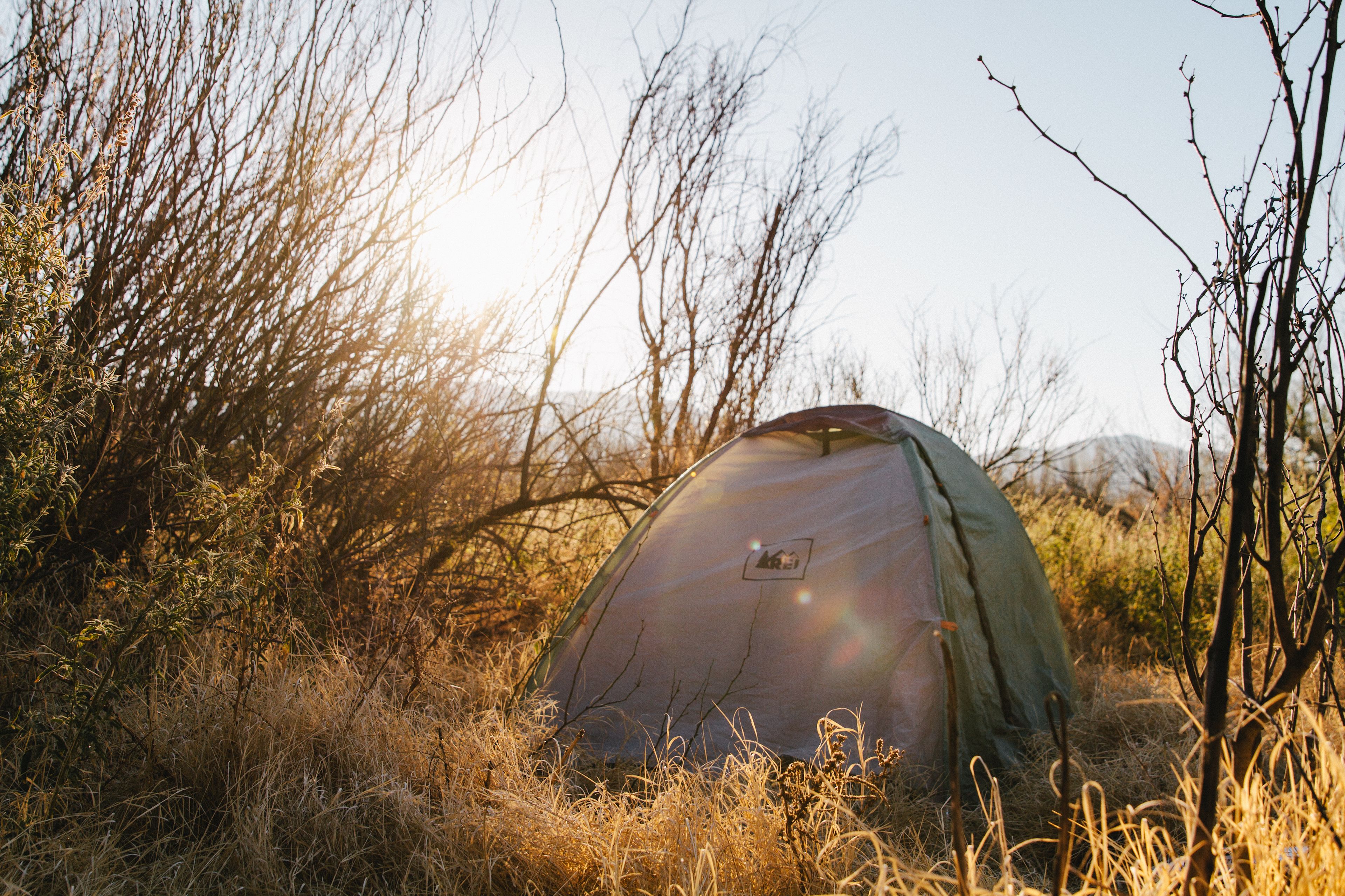 If you're tent camping, make sure to head to the back of the sites in the "generator free zone."