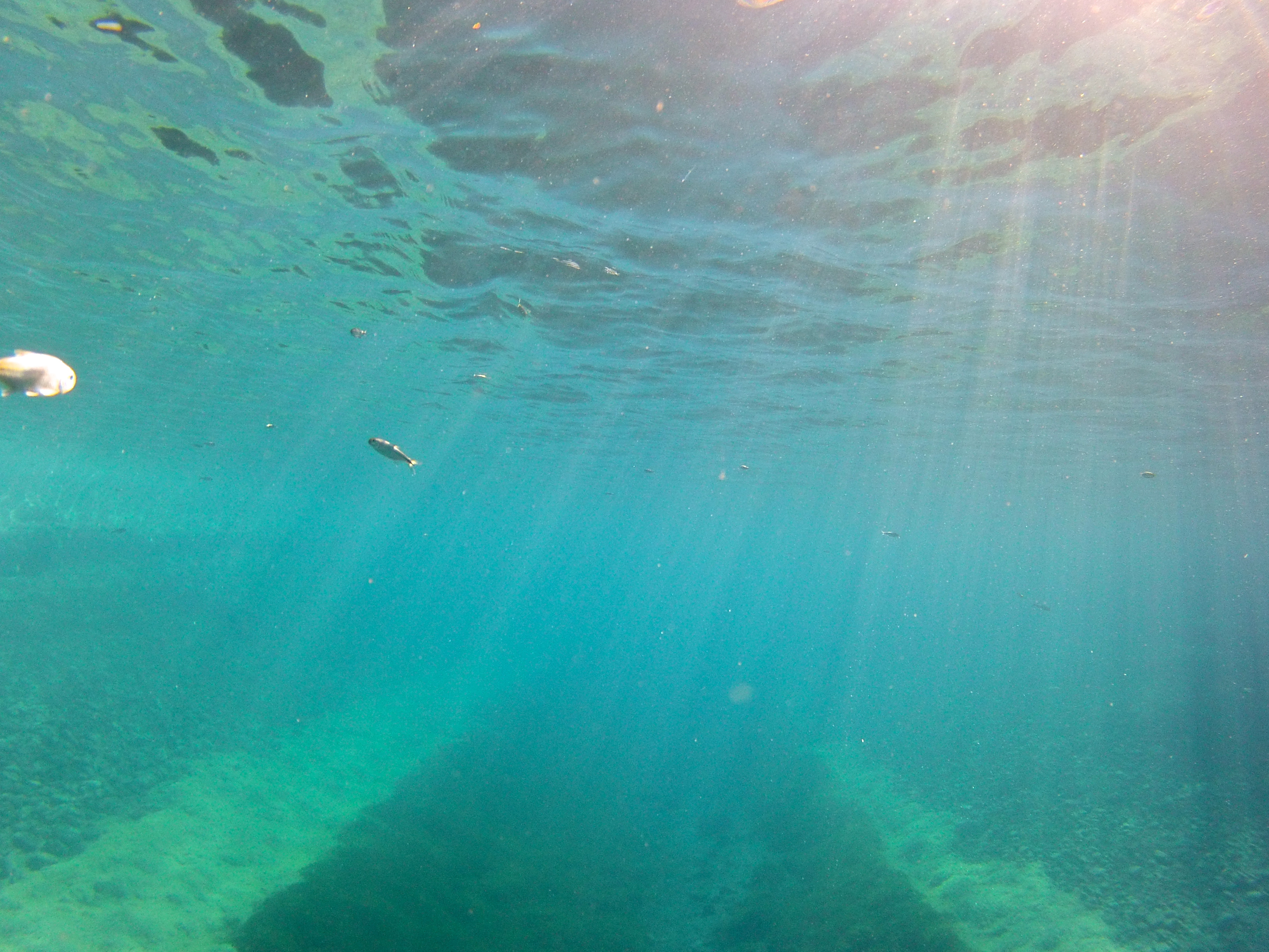 The best time to discover the Springs is early in the morning when the park is first opening.  There are less people and more time to explore all the beauty this park offers. 